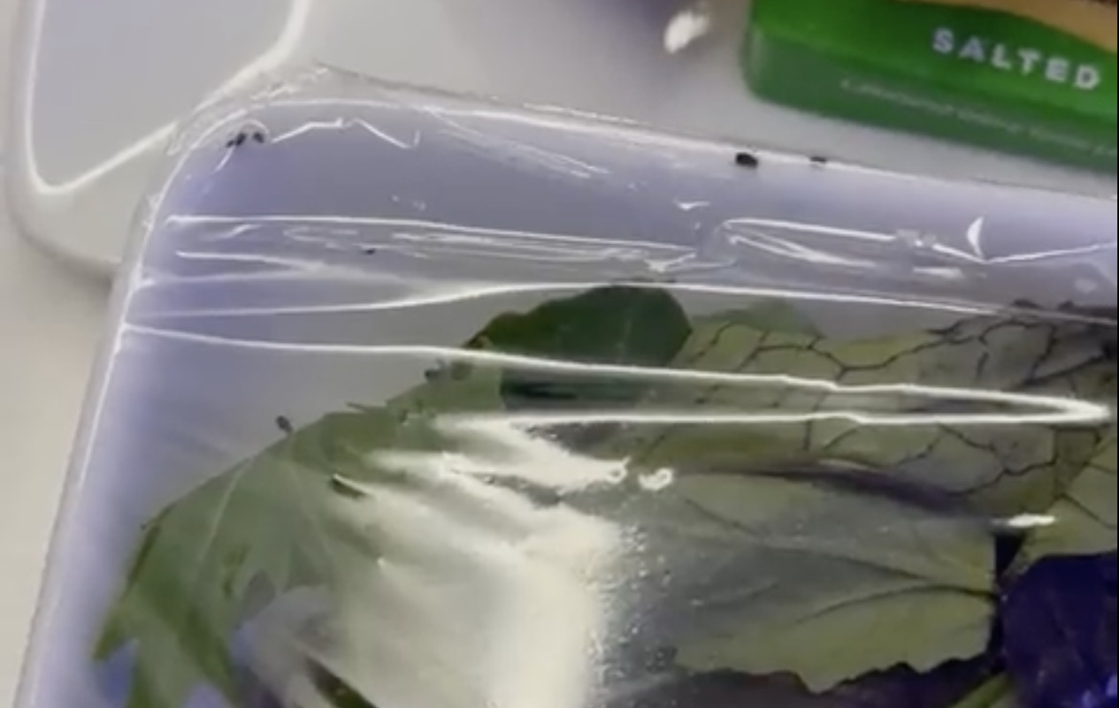 a plastic bag with a green object in it