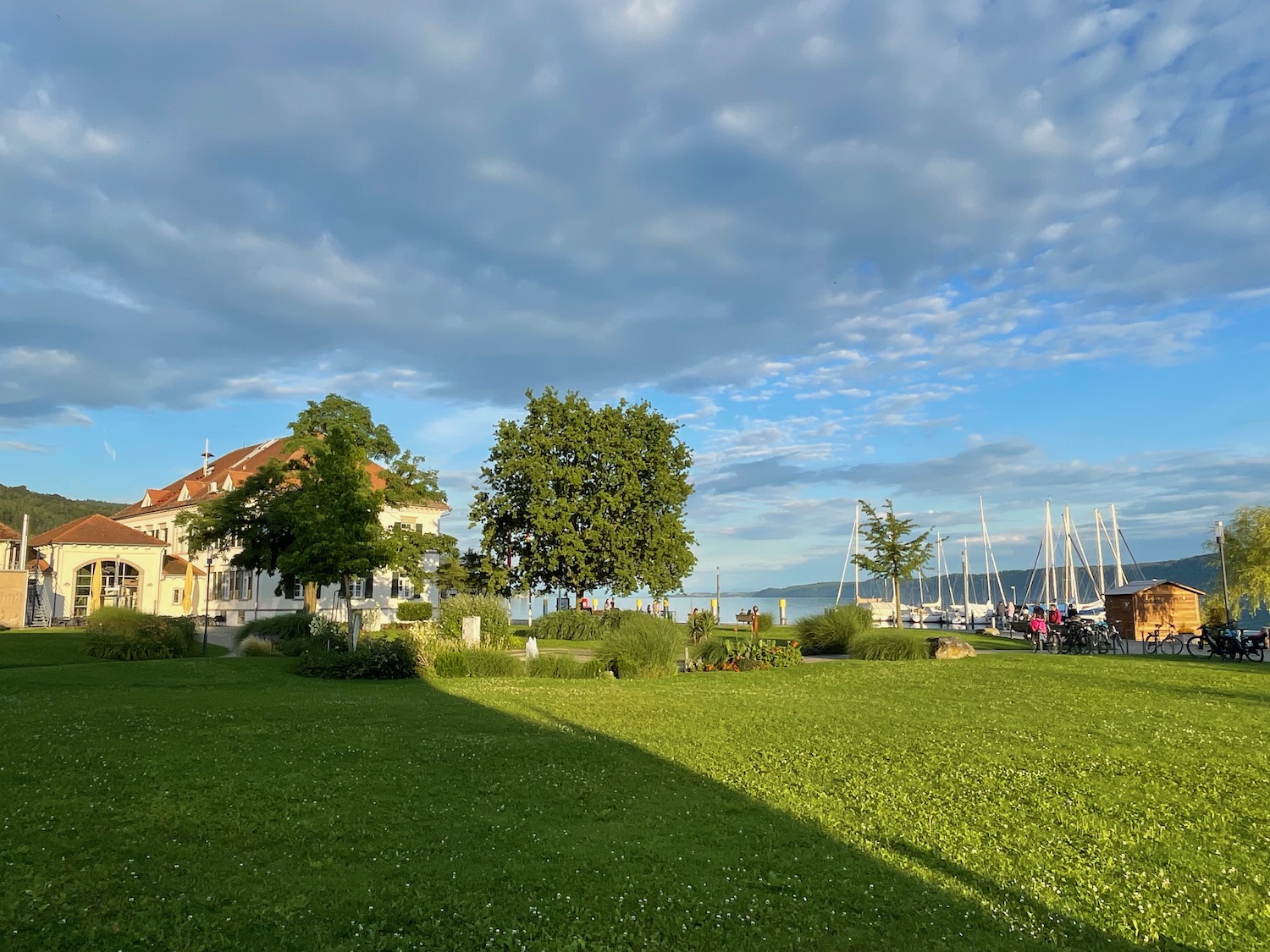 a lawn with trees and a building in the background