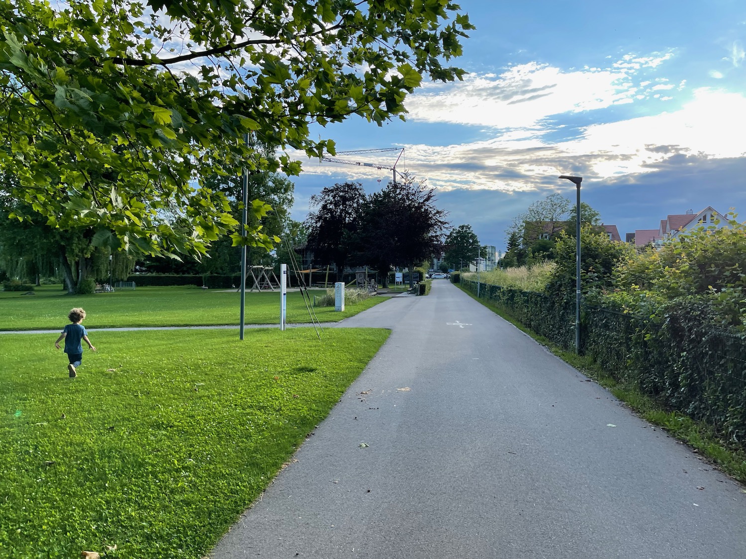 a path with grass and trees