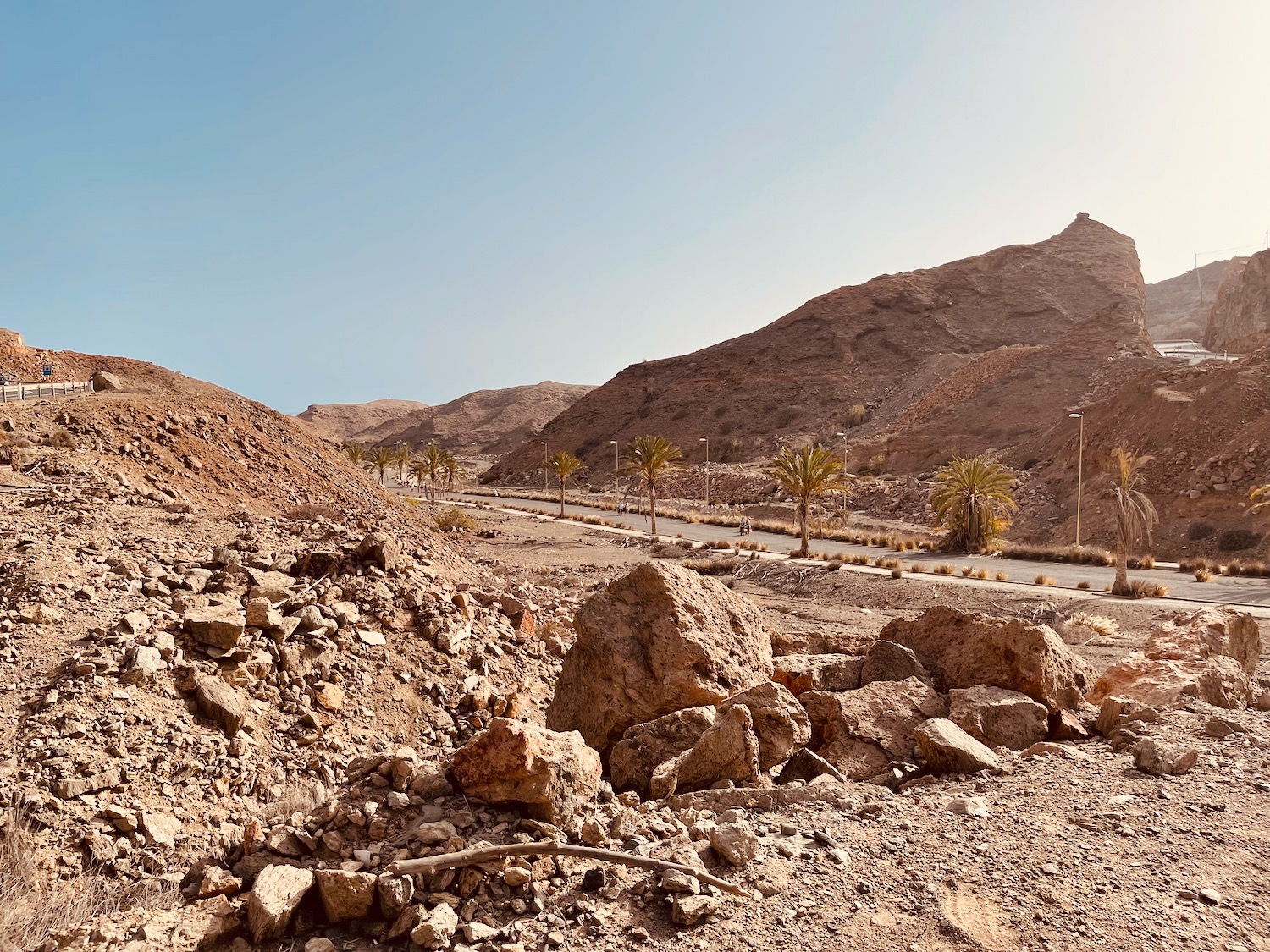 a road with rocks and palm trees