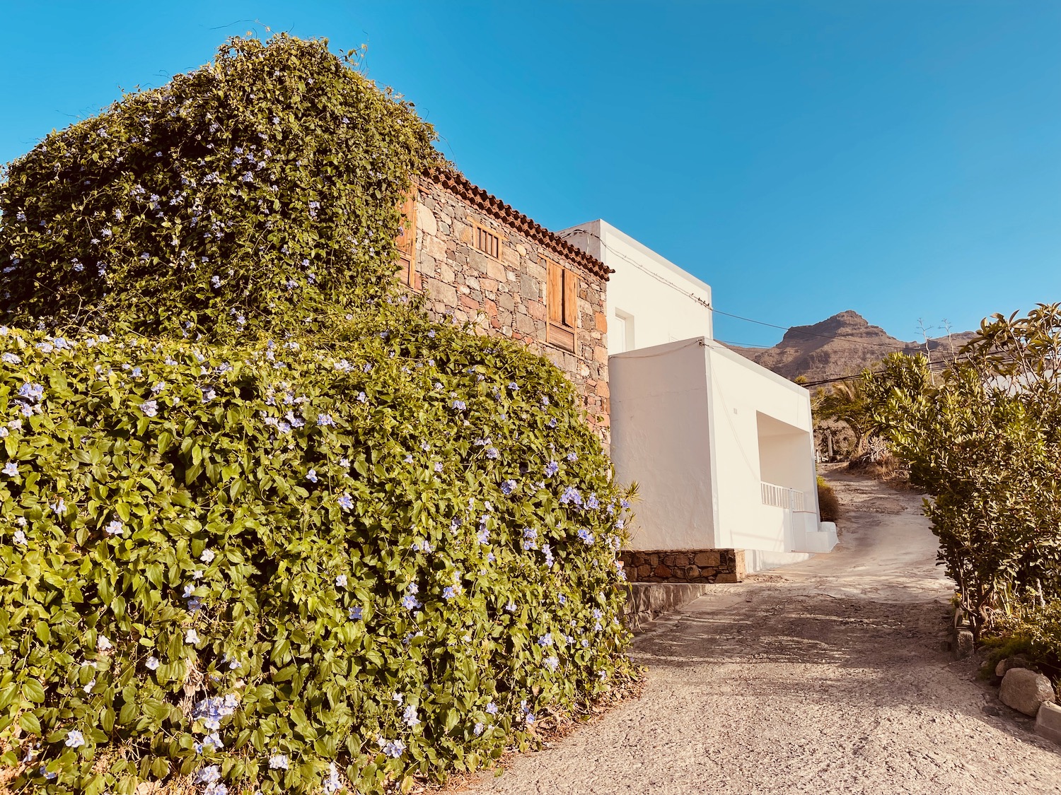 a stone building with a bush on the side