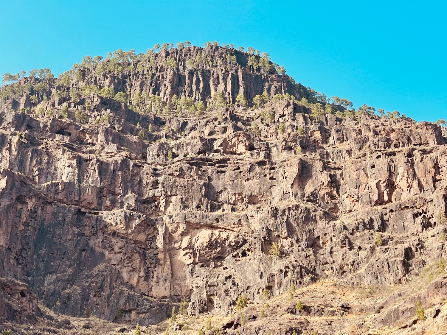 a rocky mountain with trees on top