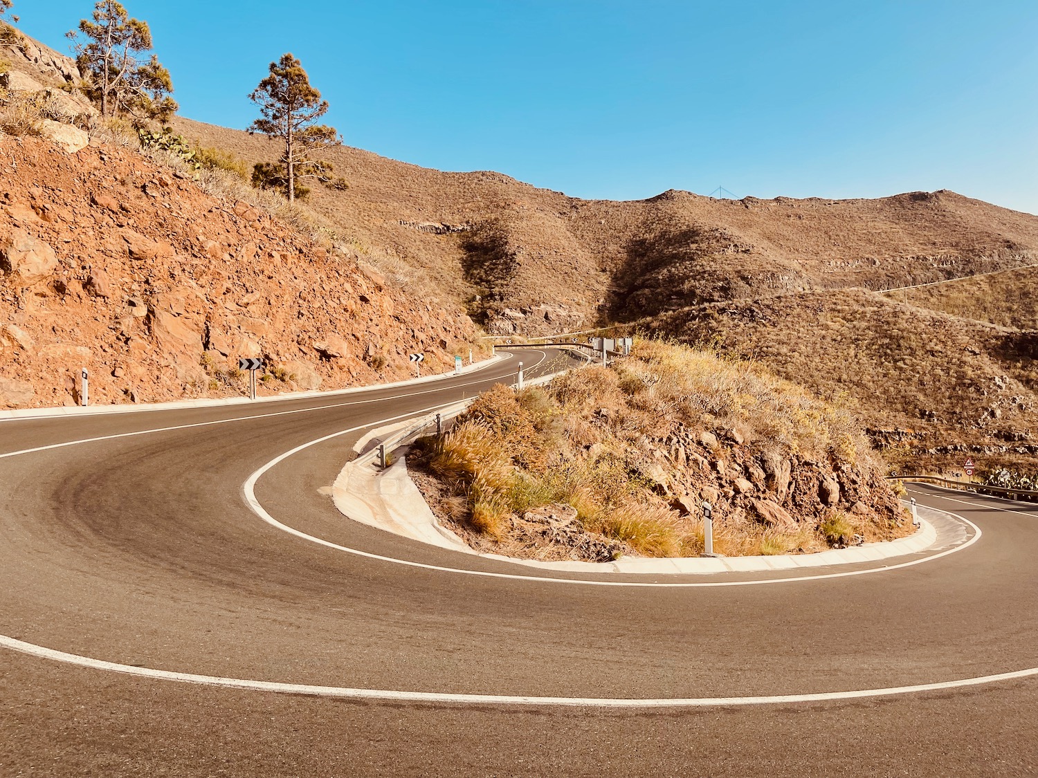 a winding road with trees on the side