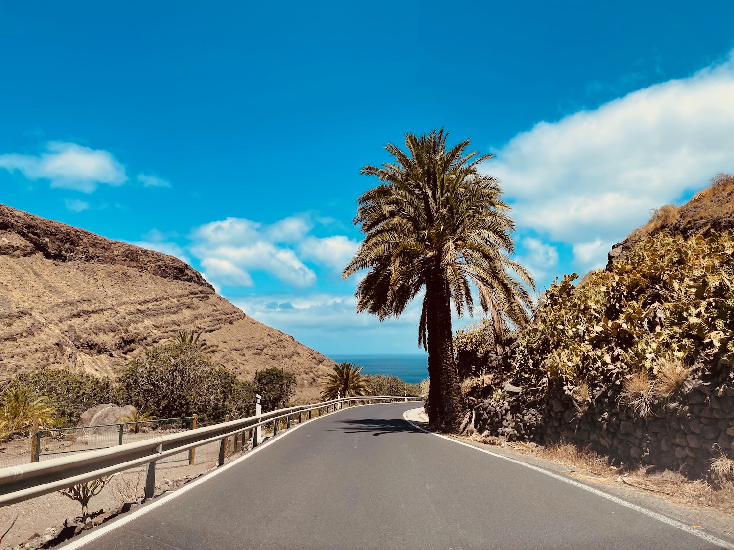 a road with palm trees and mountains