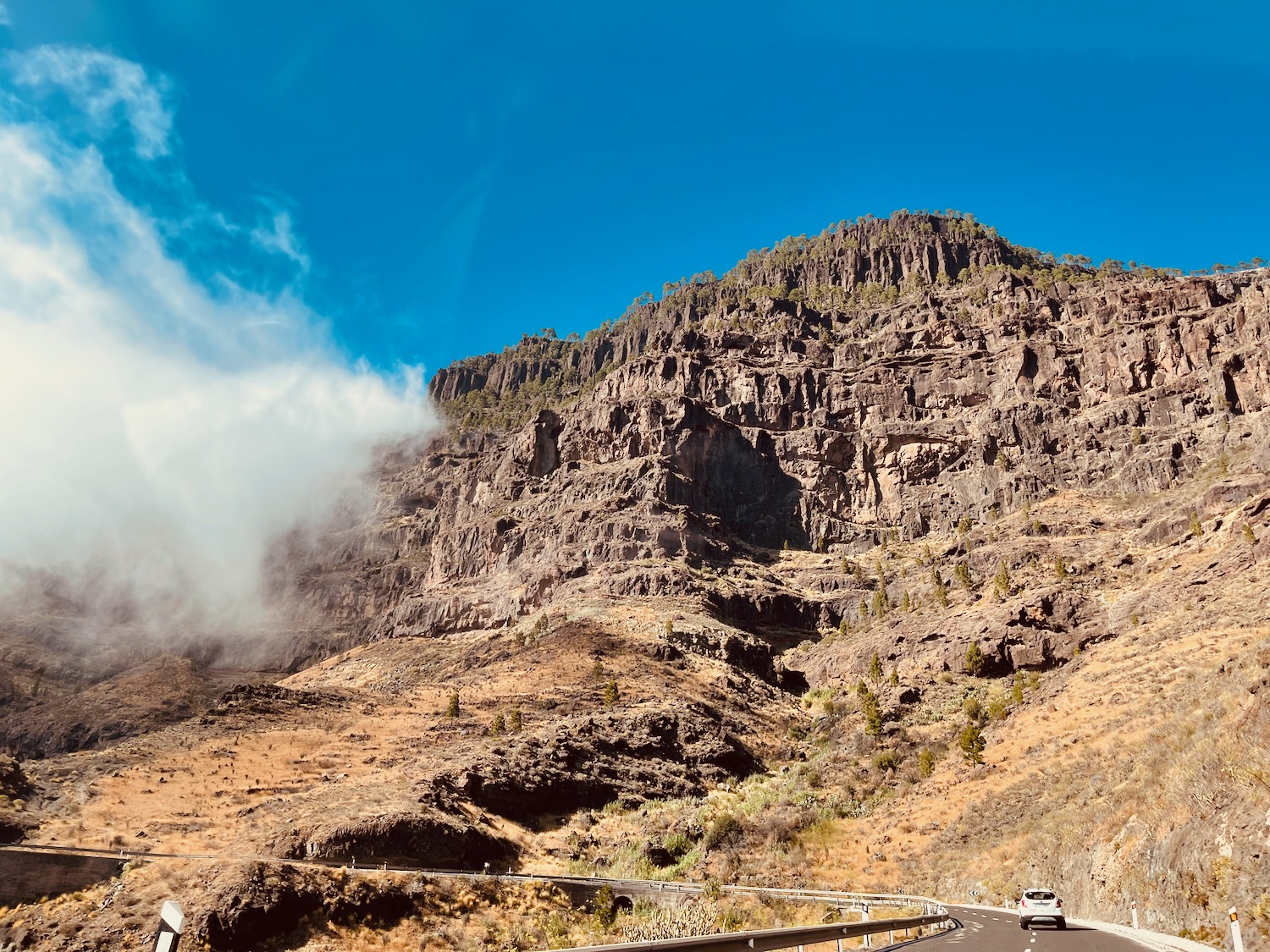 a road with a mountain in the background