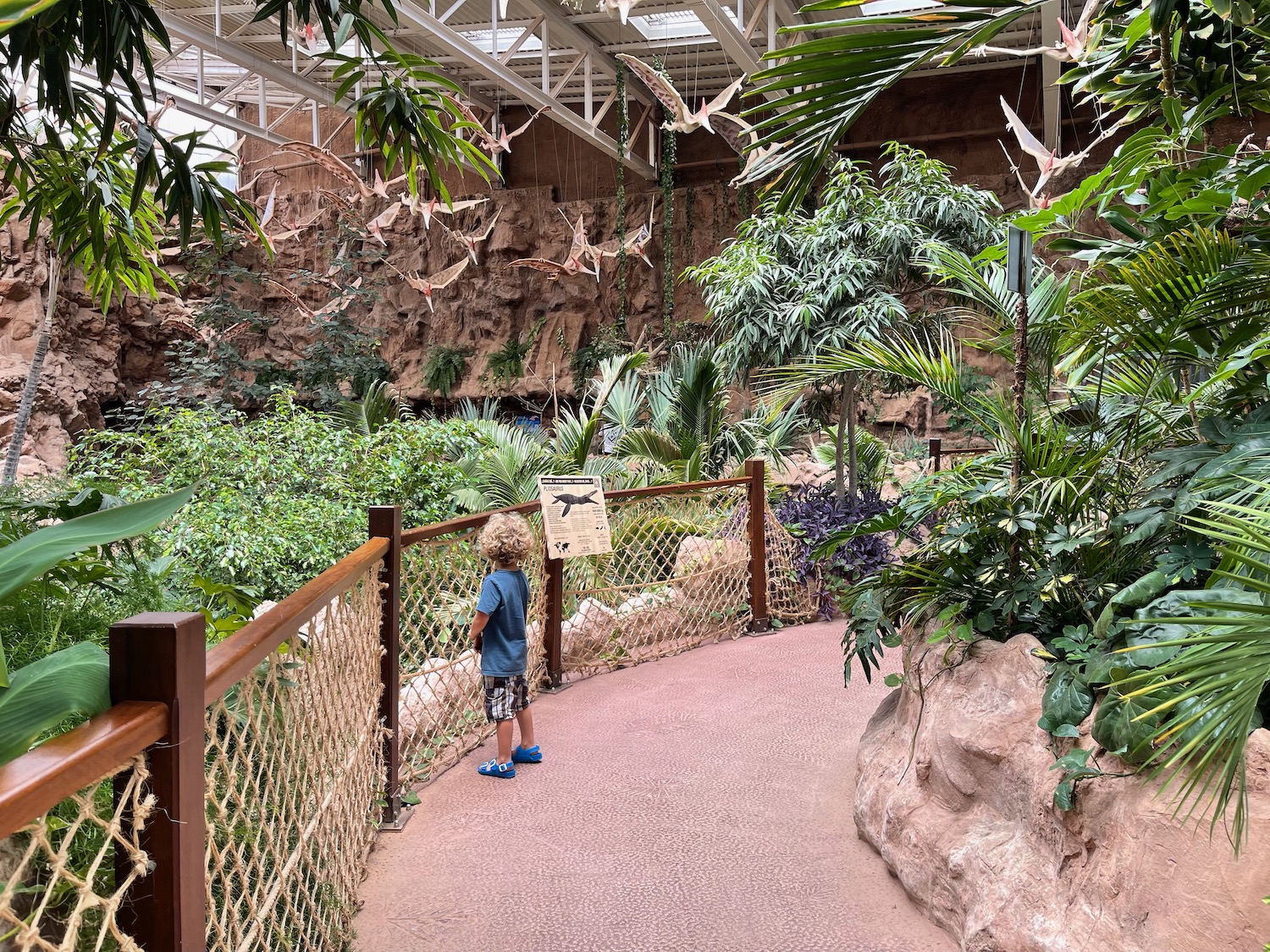 a child looking at a sign in a zoo exhibit