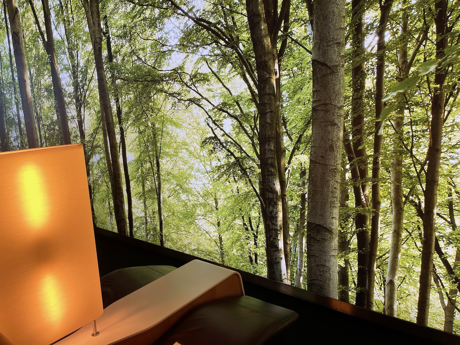 a lamp on a table next to a window with trees in the background