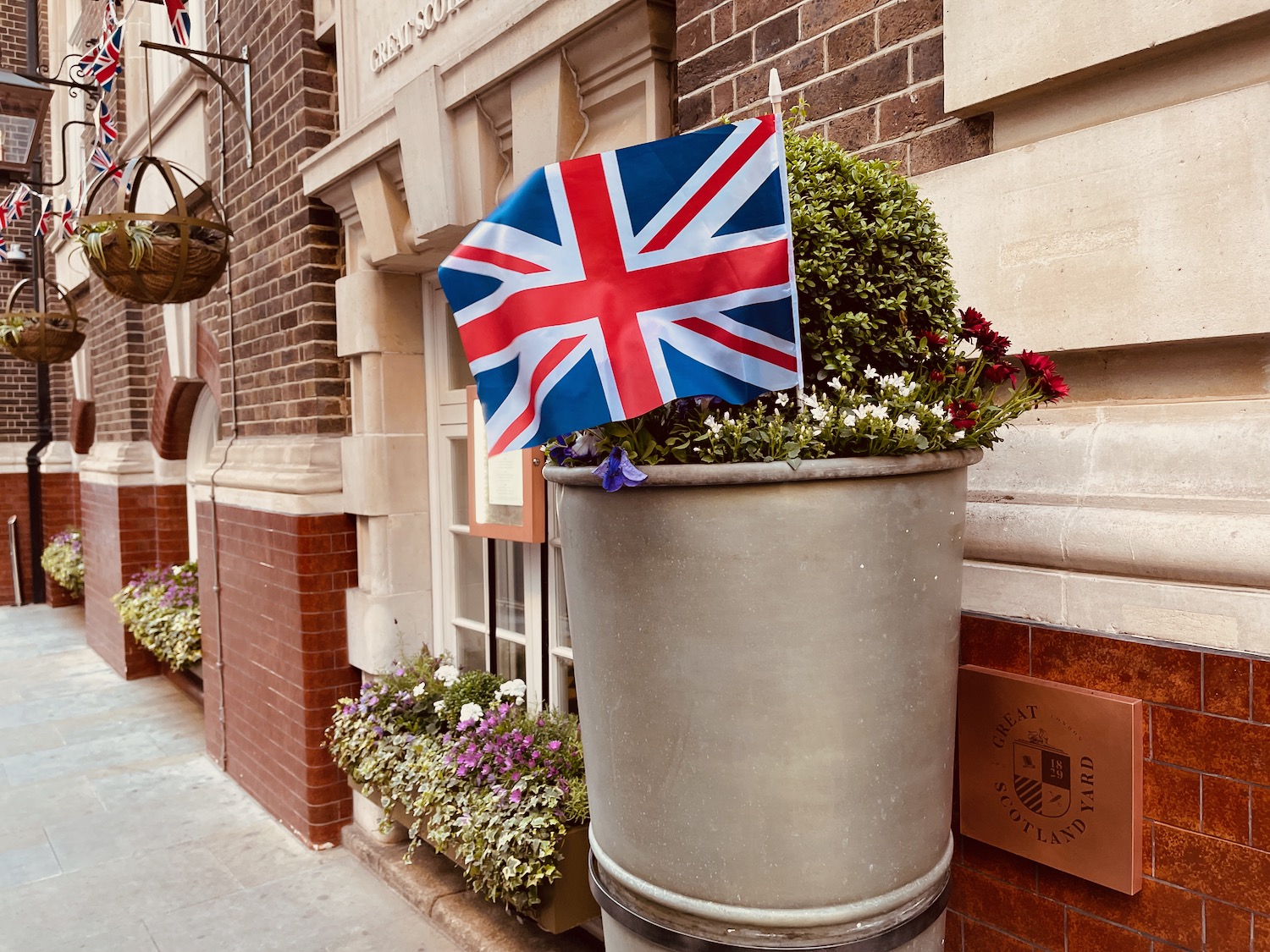 a flag in a pot