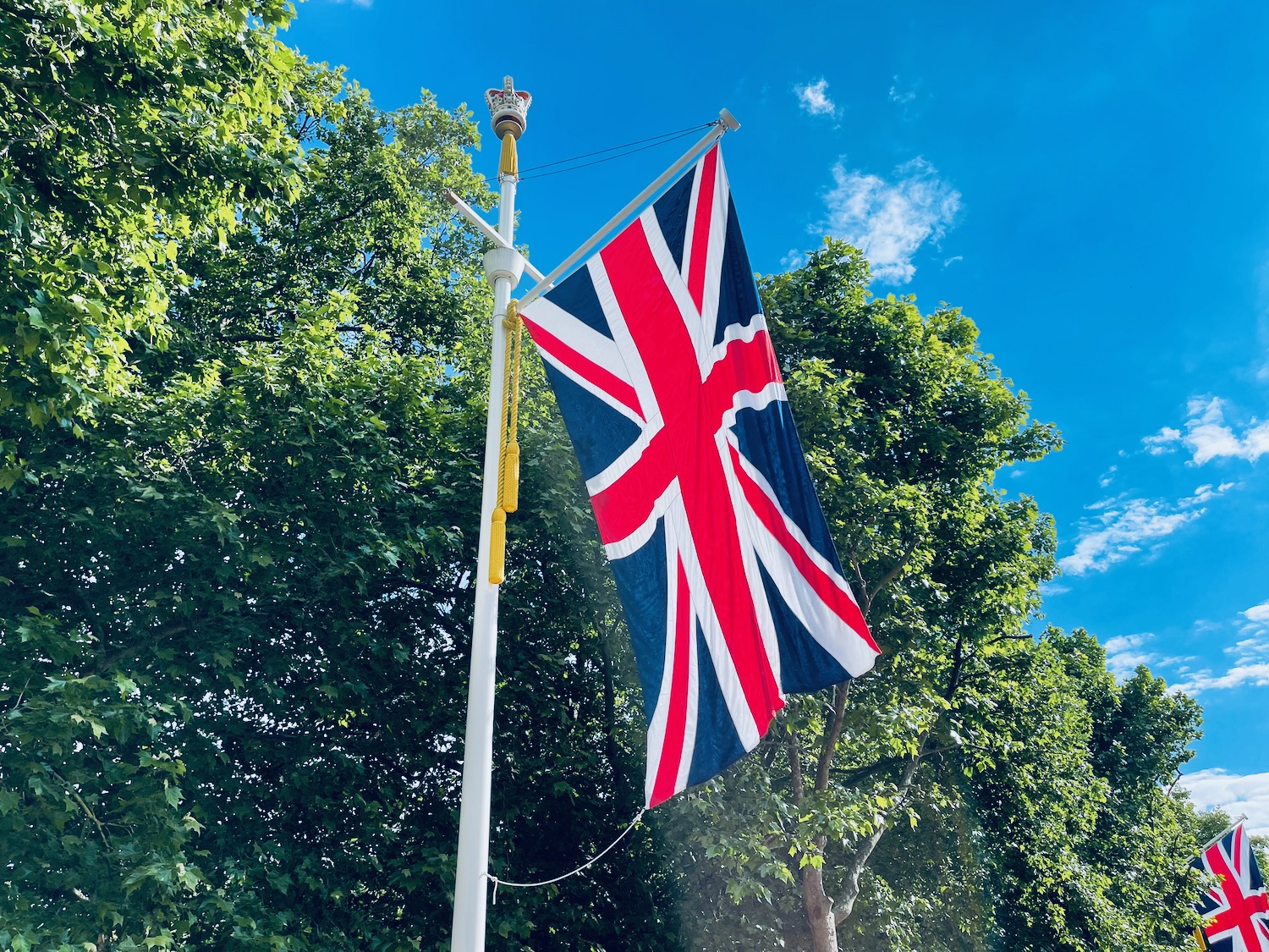 a flag on a pole