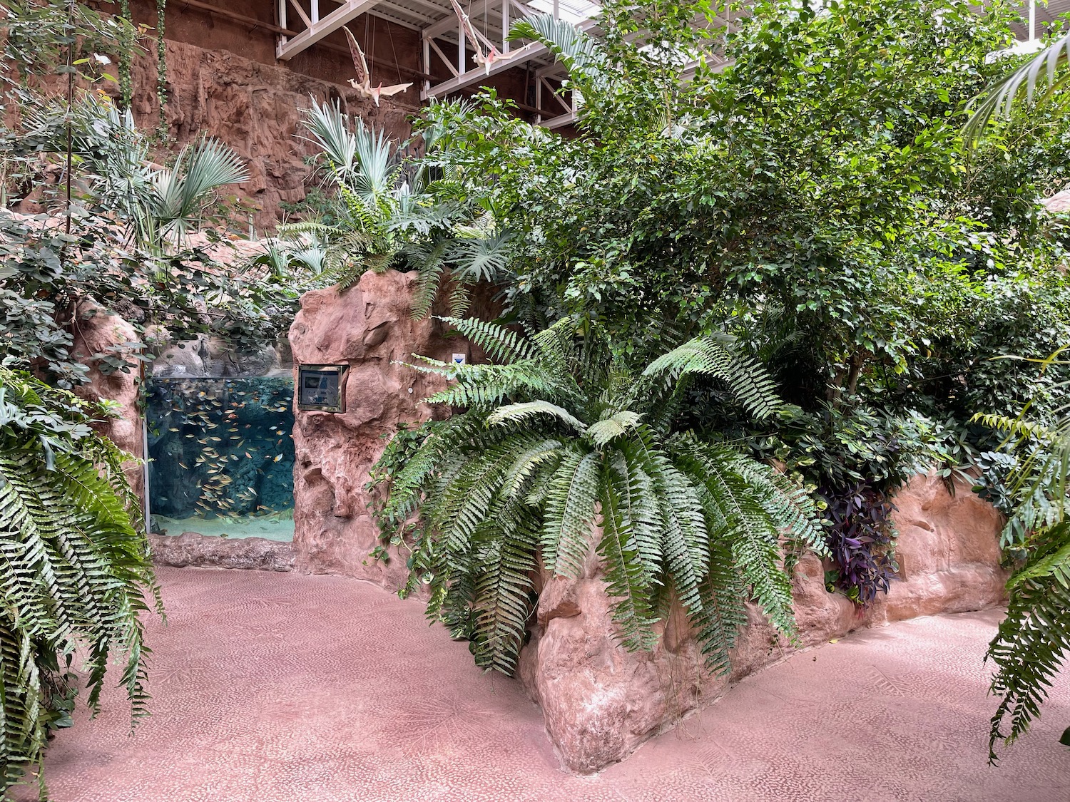 a large rock wall with plants and a fish in it
