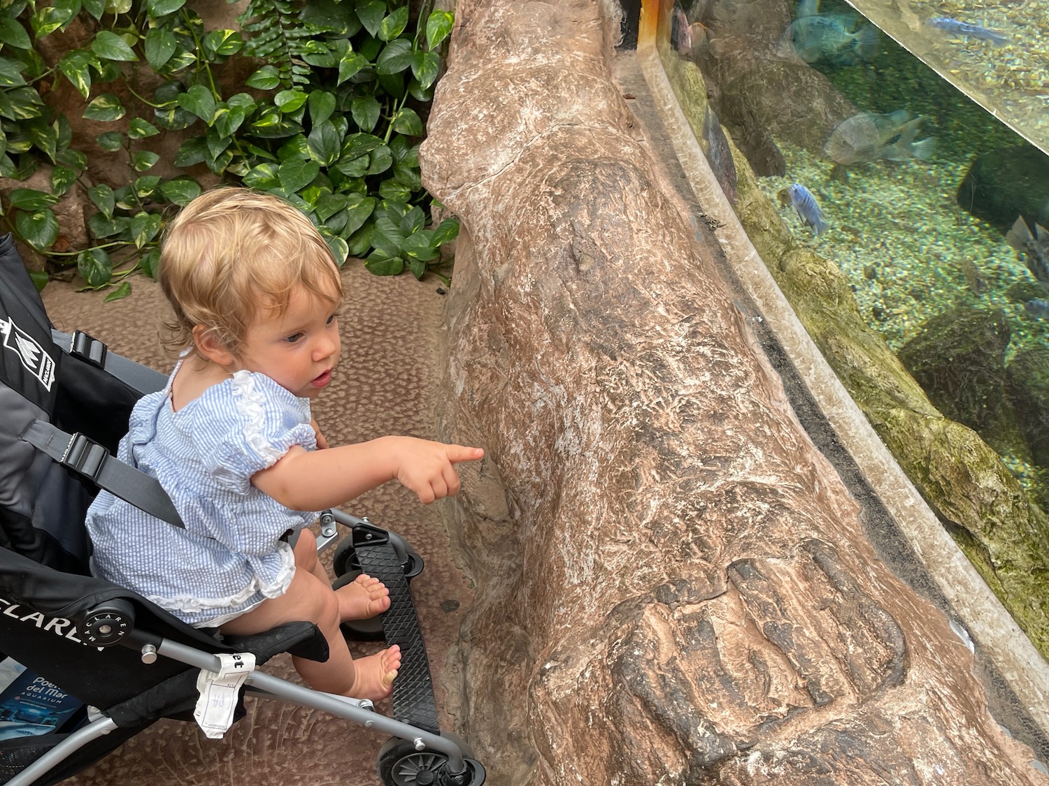 a child sitting in a stroller pointing at a large rock