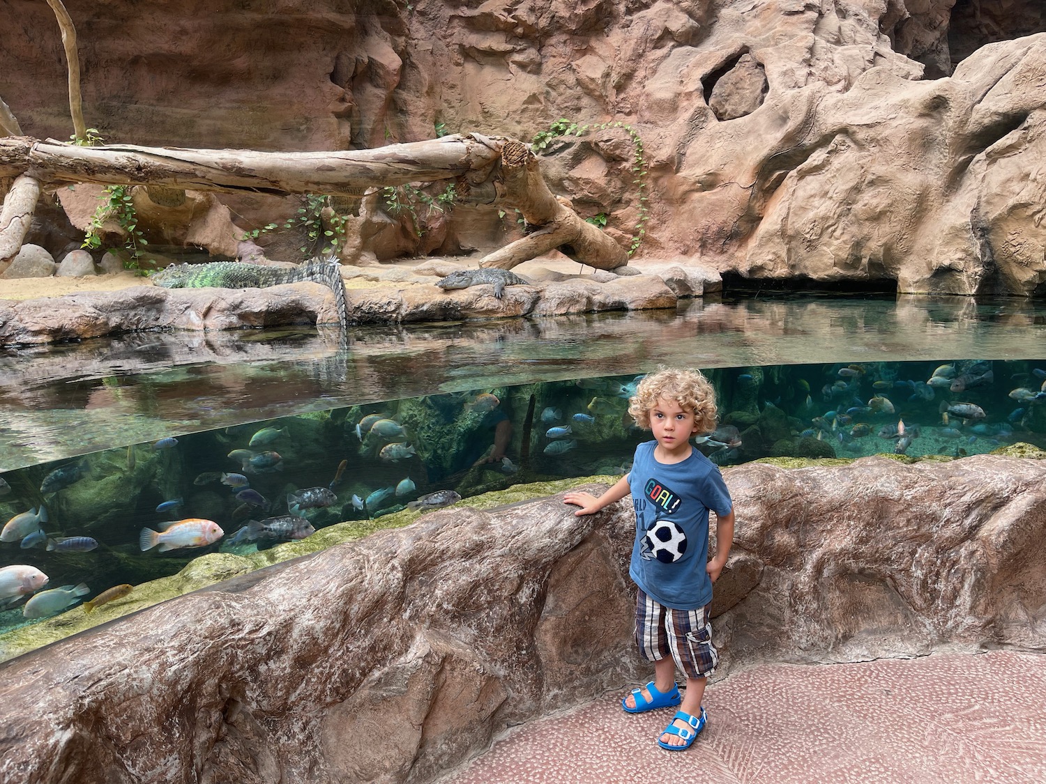 a child standing on a rock ledge next to a fish tank
