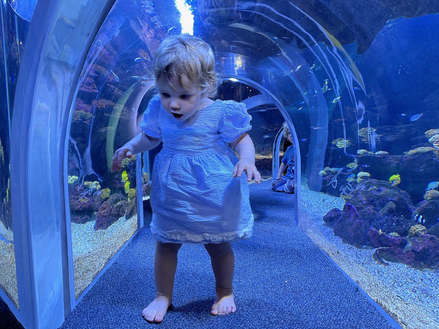 a child in a blue dress in a tunnel of fish
