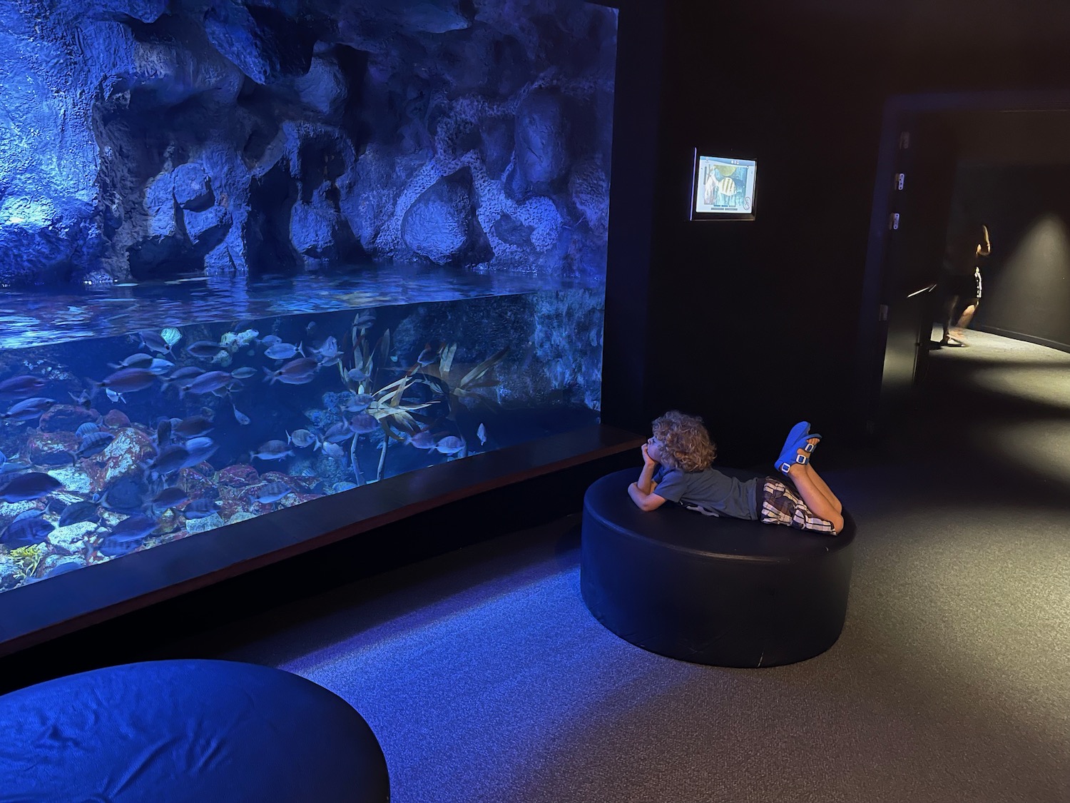 a boy lying on a round black chair in front of a large aquarium