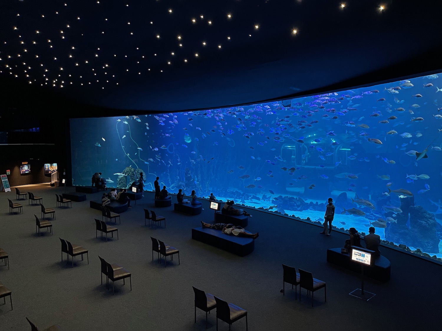a large aquarium with fish and people