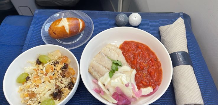 a plate of food on a tray