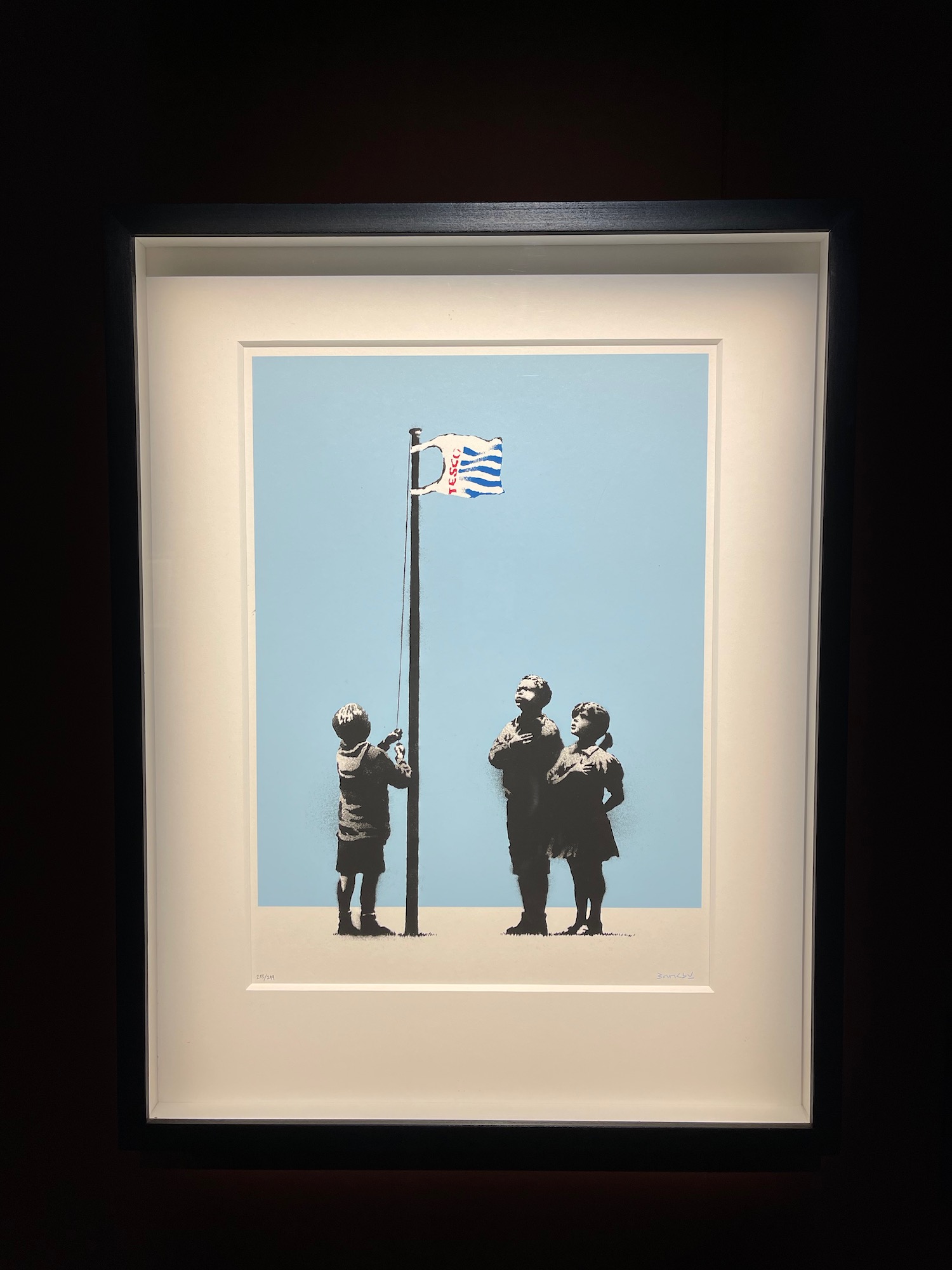 a framed picture of a flag