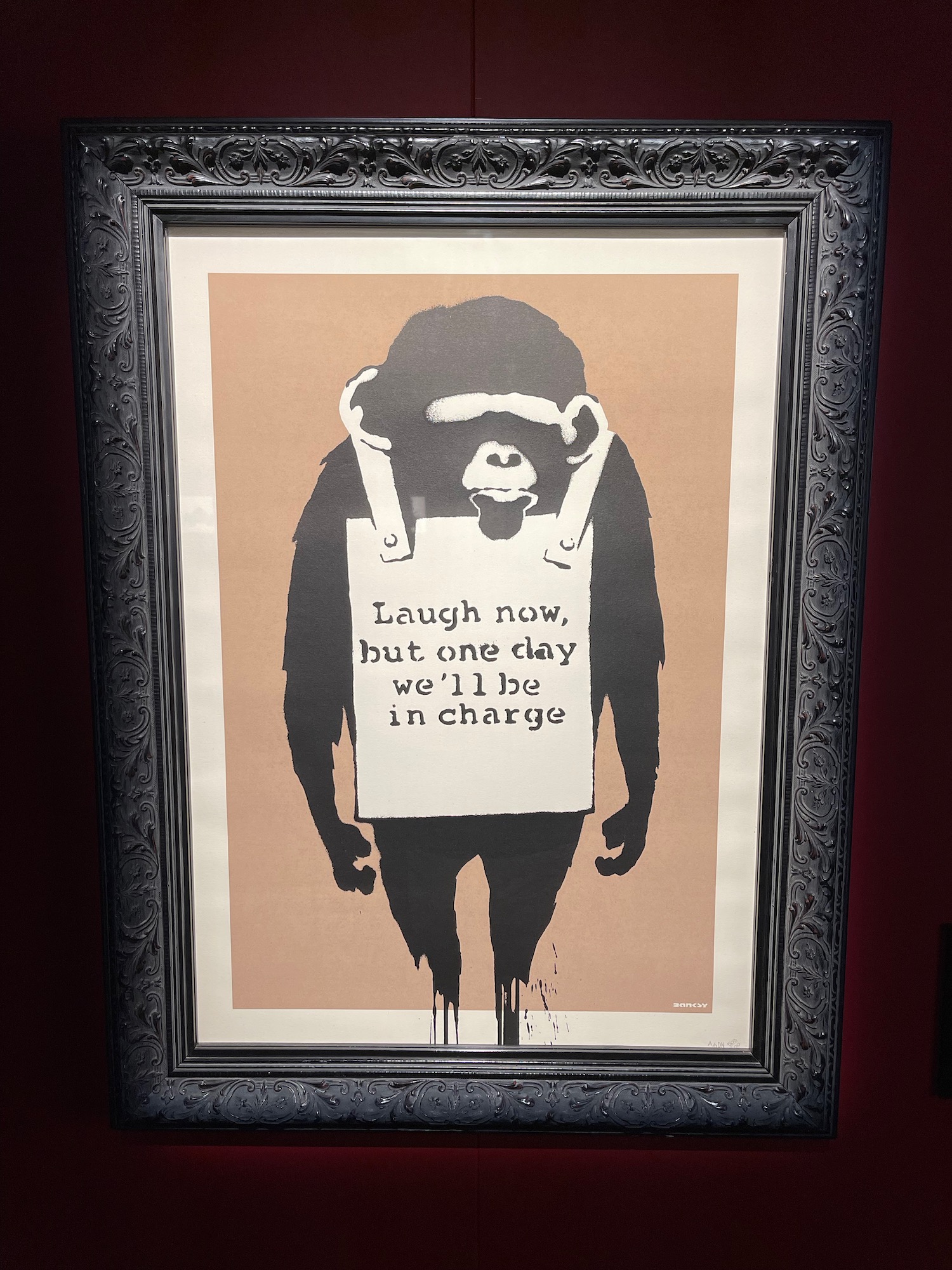 a framed picture of a monkey