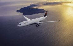 Delta Air Lines Baggage Flight