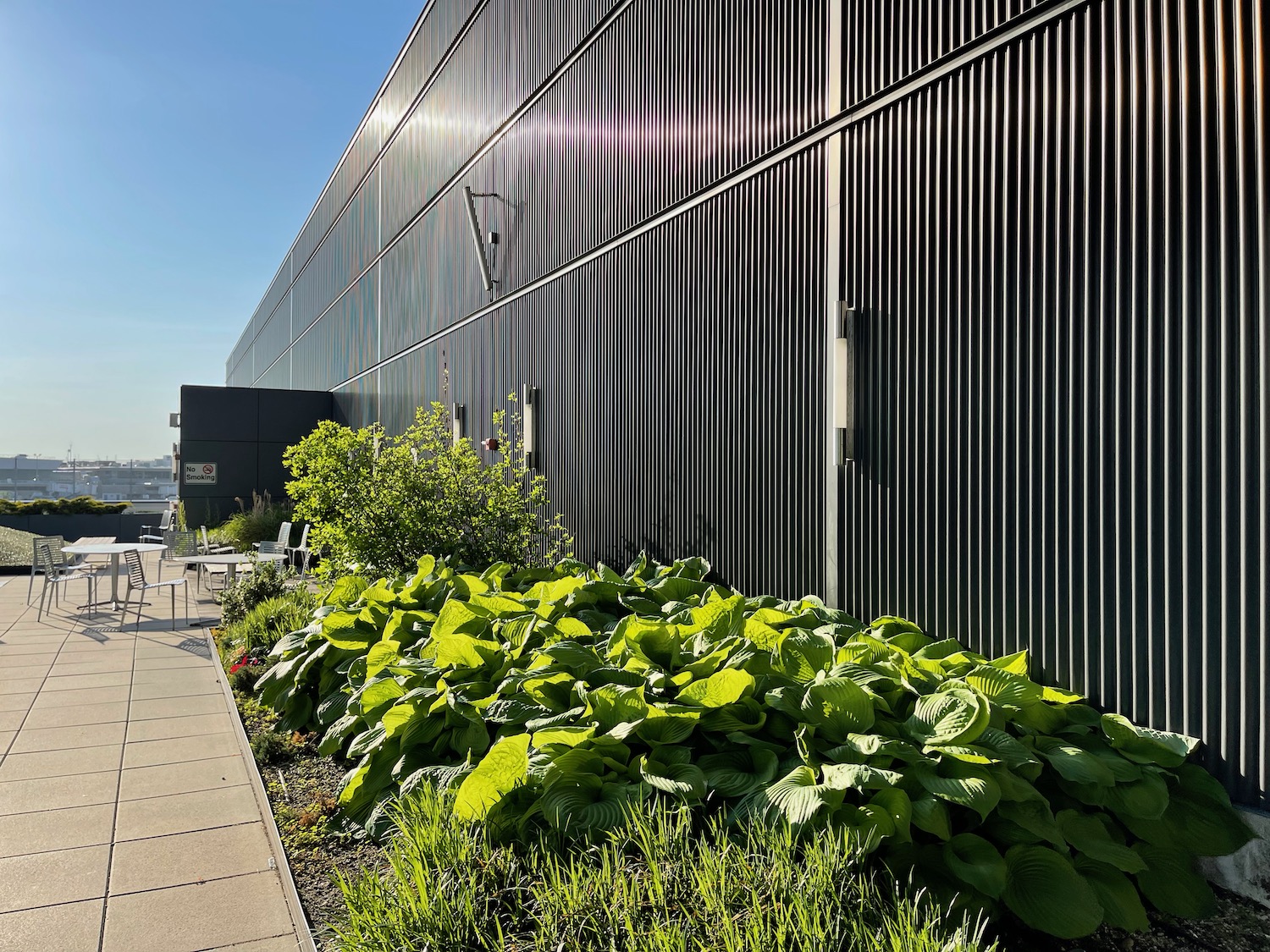 a building with plants and a sidewalk