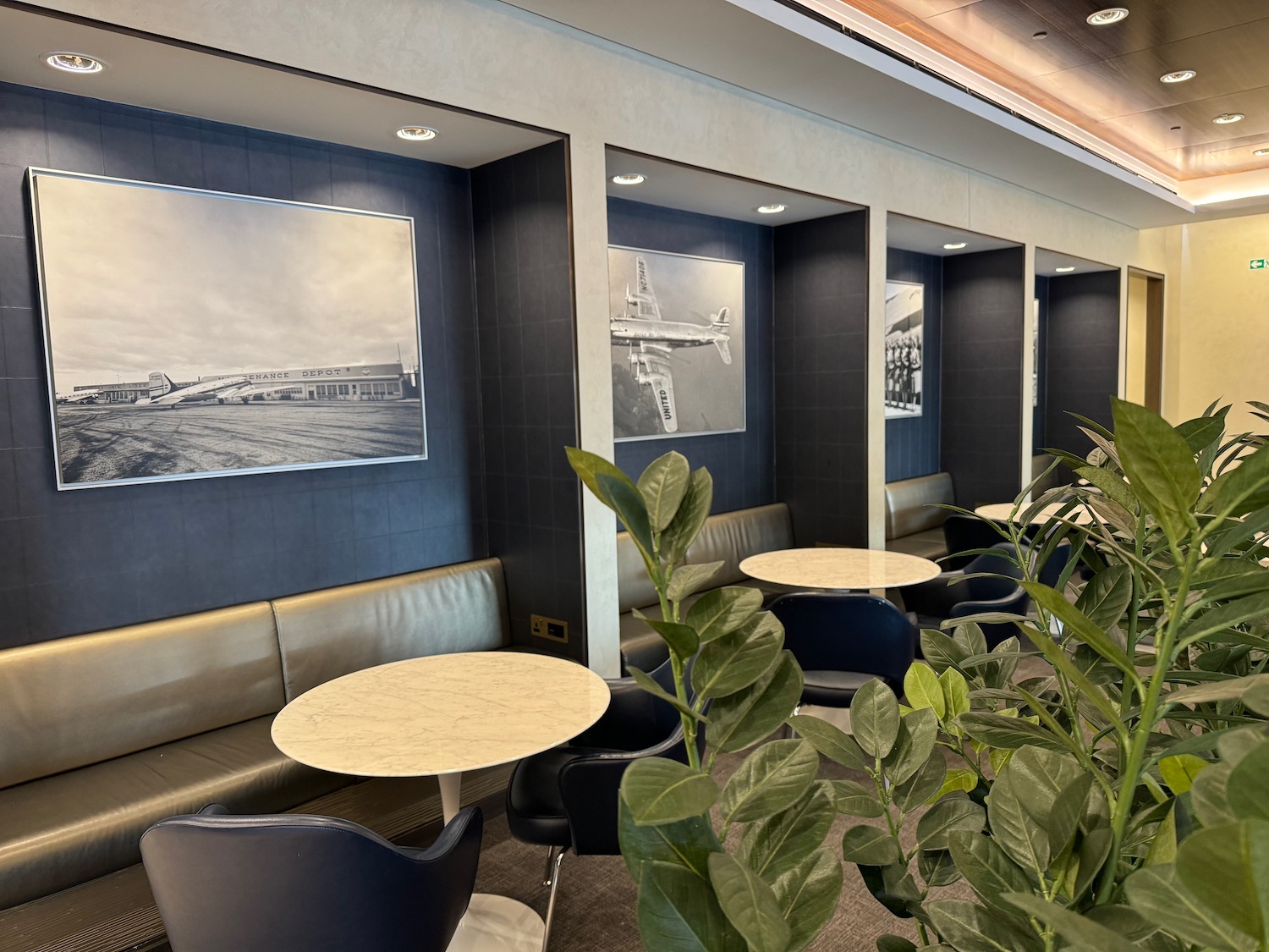 a room with tables and chairs and a plant