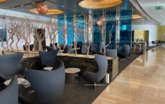 a room with chairs and trees