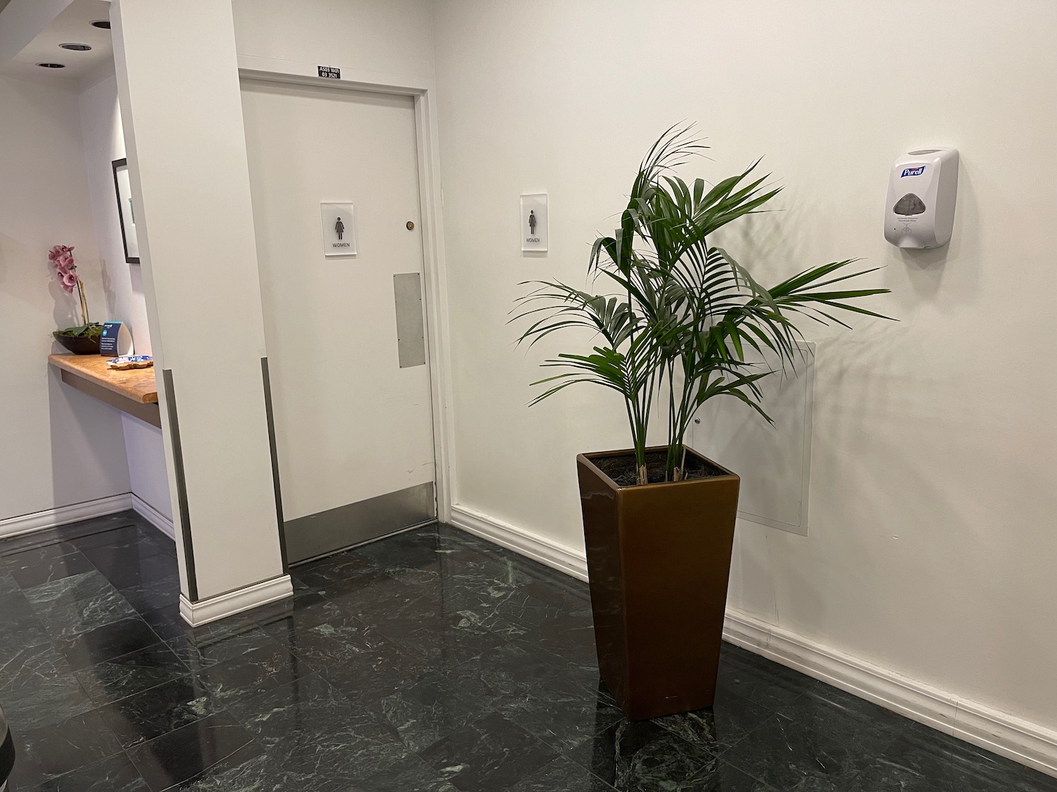 a plant in a pot in a hallway