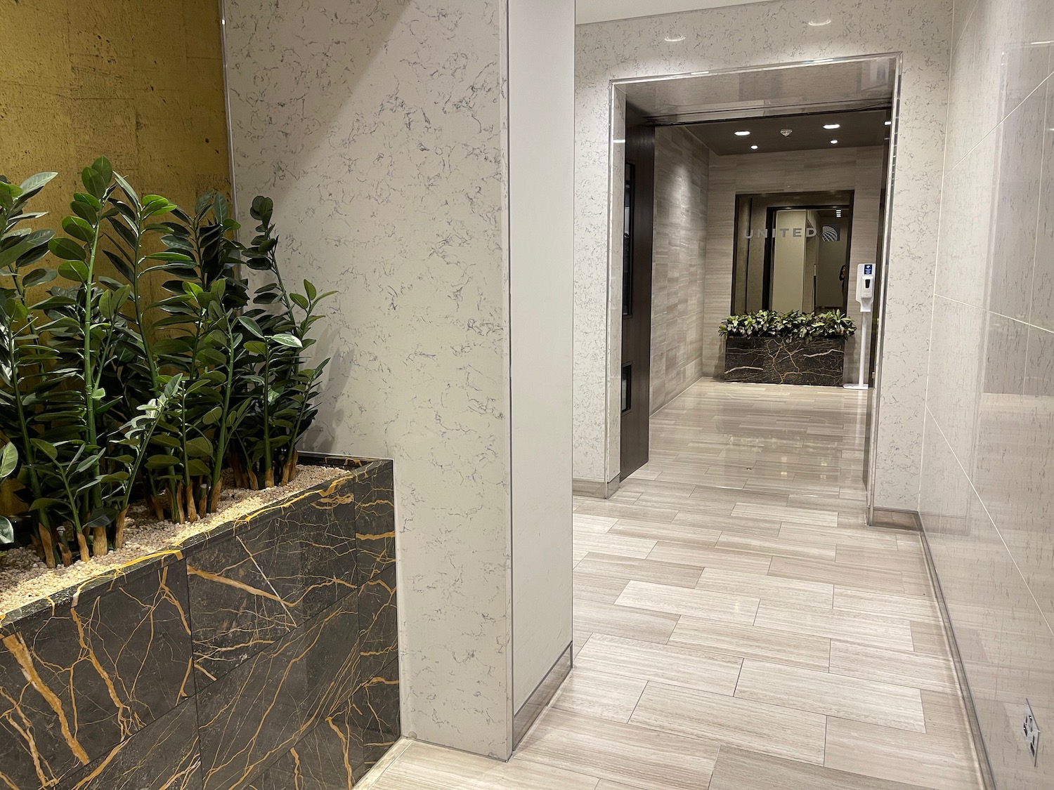 a hallway with plants in a pot