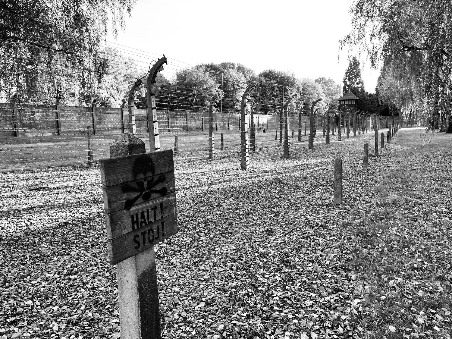 a fenced area with barbed wire and a sign