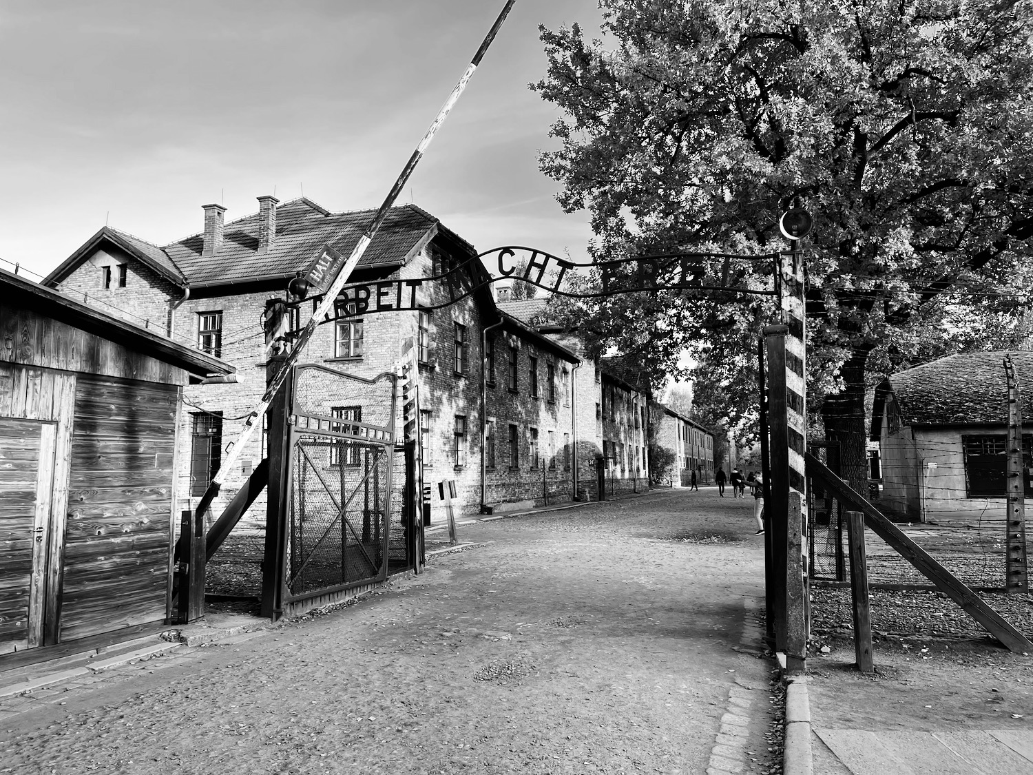 a gated entryway to a brick building with Auschwitz concentration camp in the background