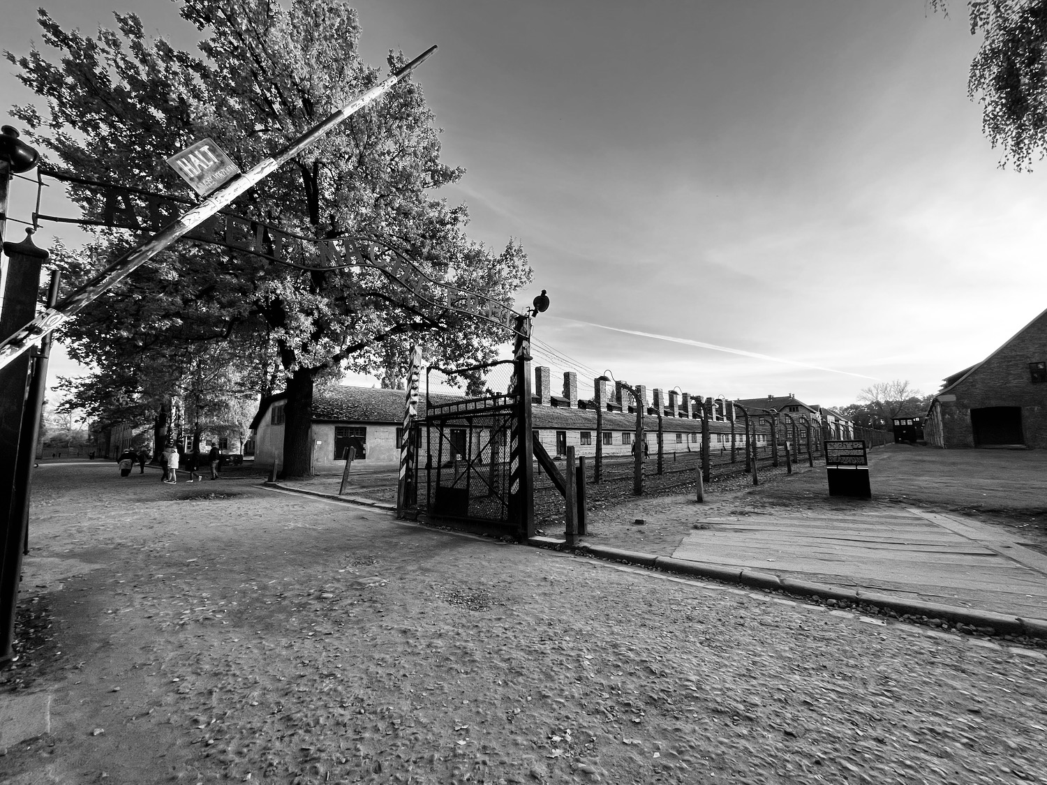 a fenced in area with a tree and a building