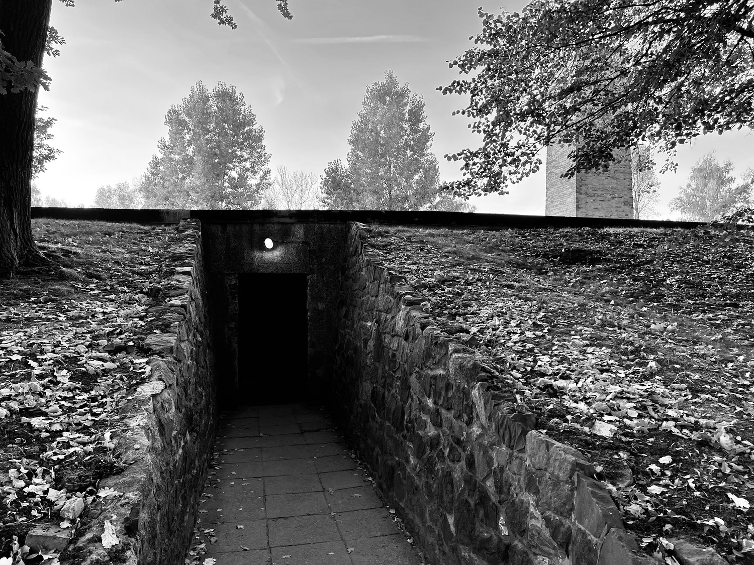 a stone tunnel with a light on the top