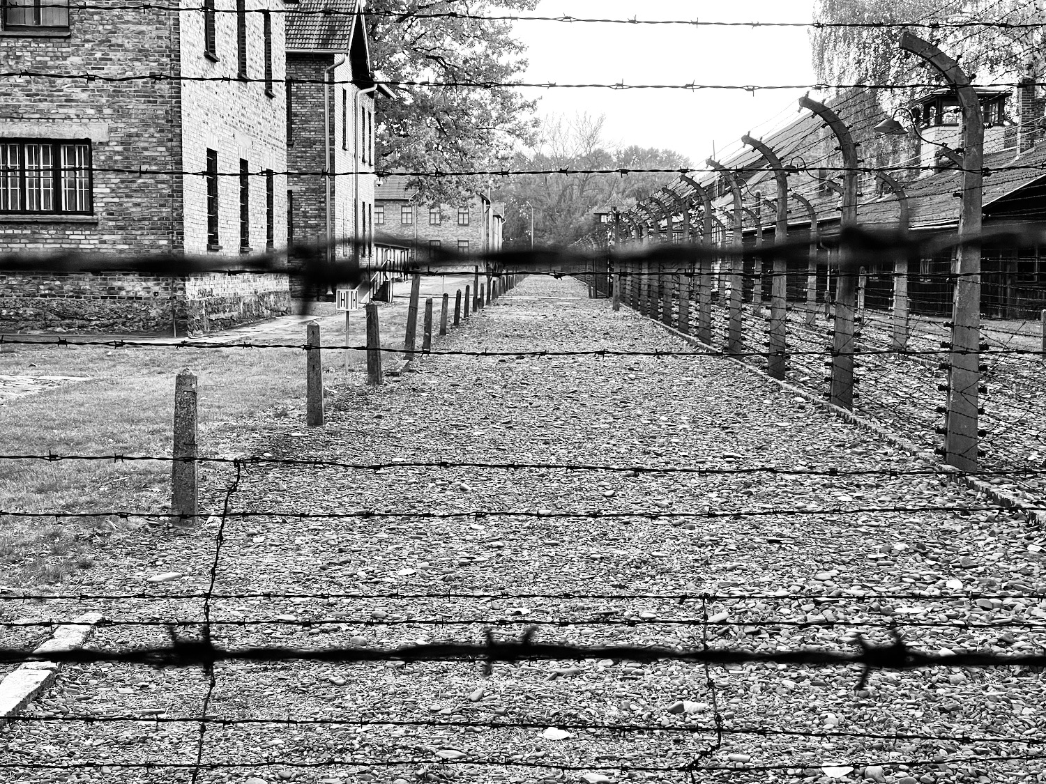 a fenced path with barbed wire