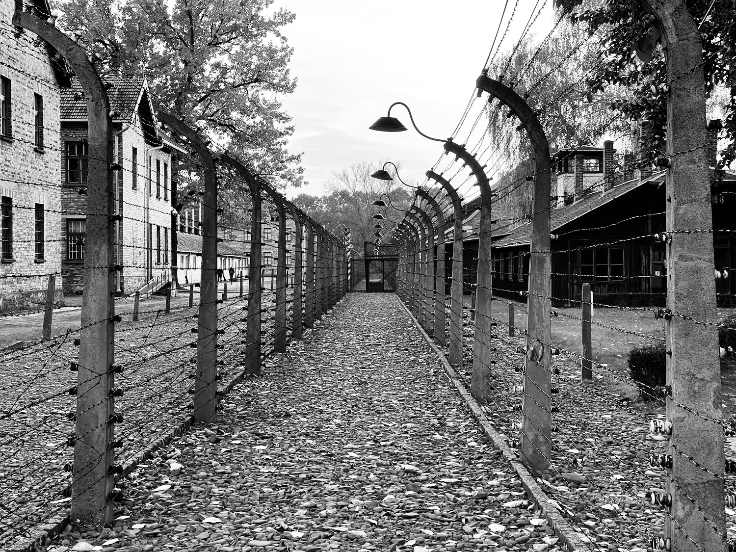 a long fence with barbed wire