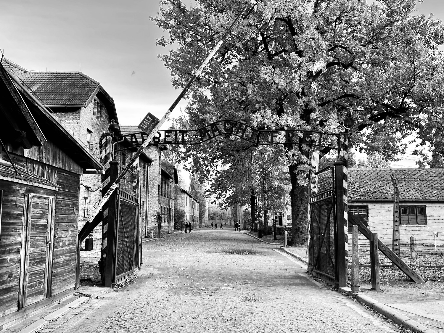 a gated entryway with trees and buildings