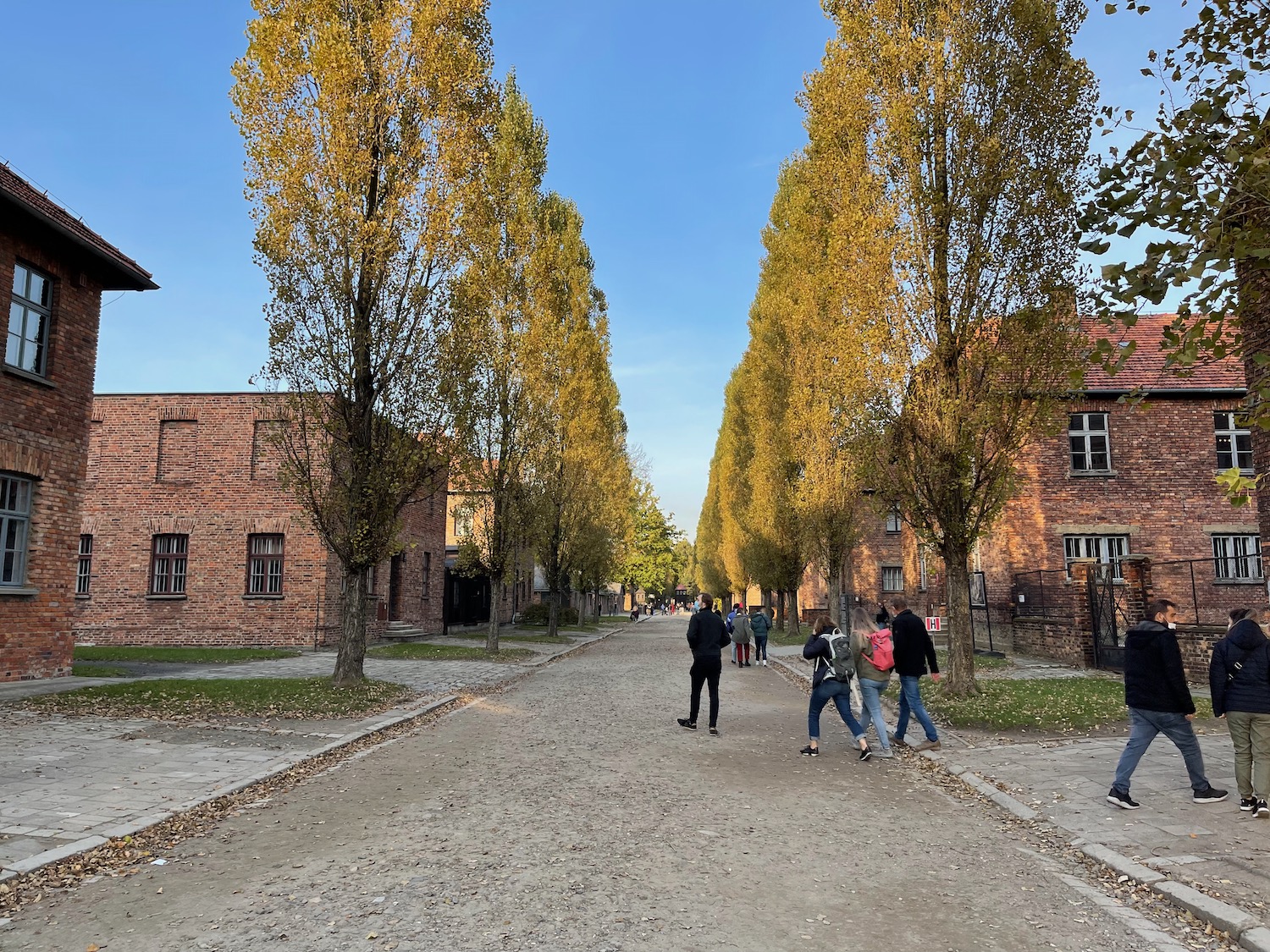 a group of people walking on a path with trees