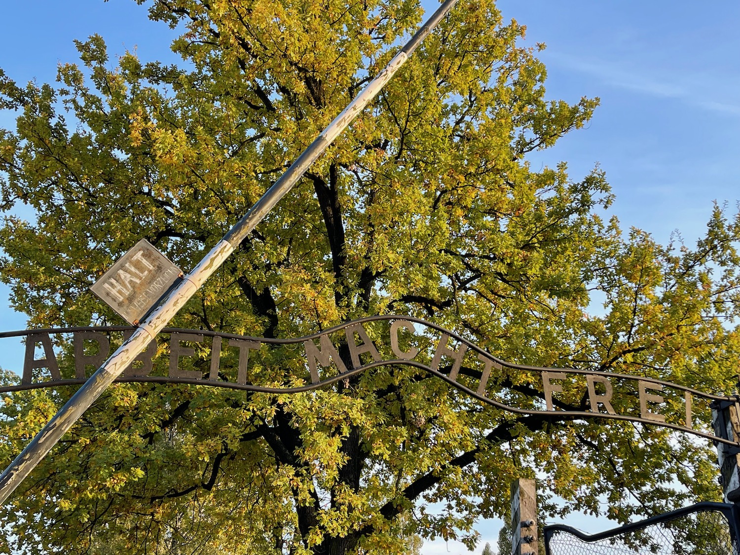 a sign with a tree in the background