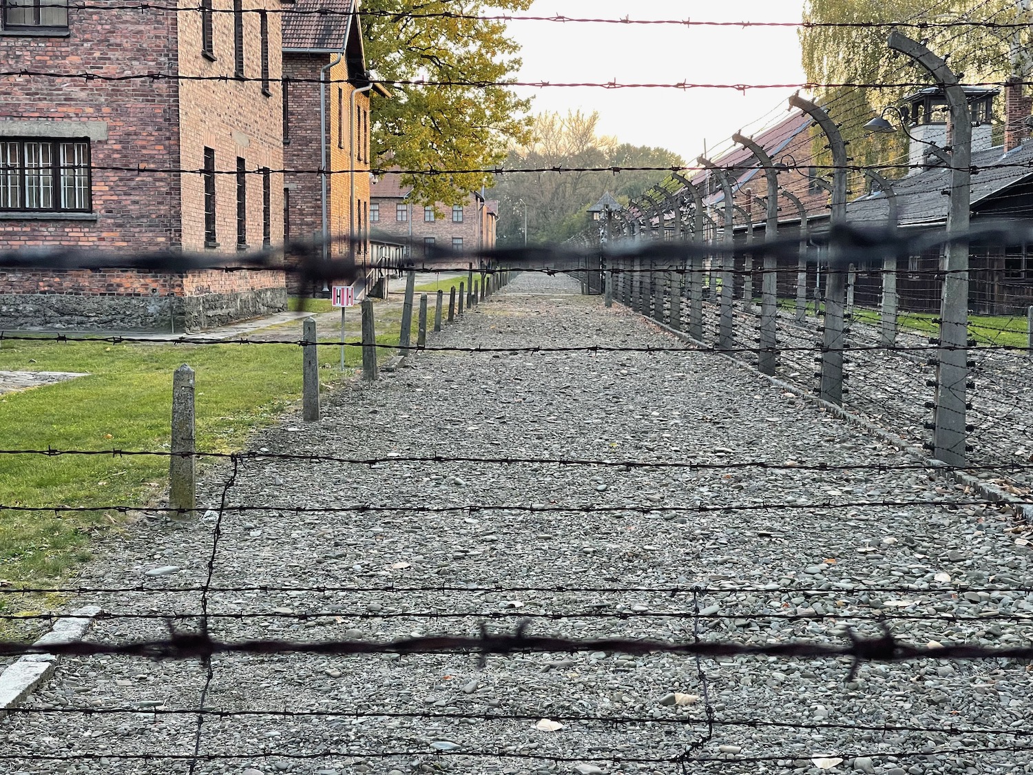 a fenced path with barbed wire