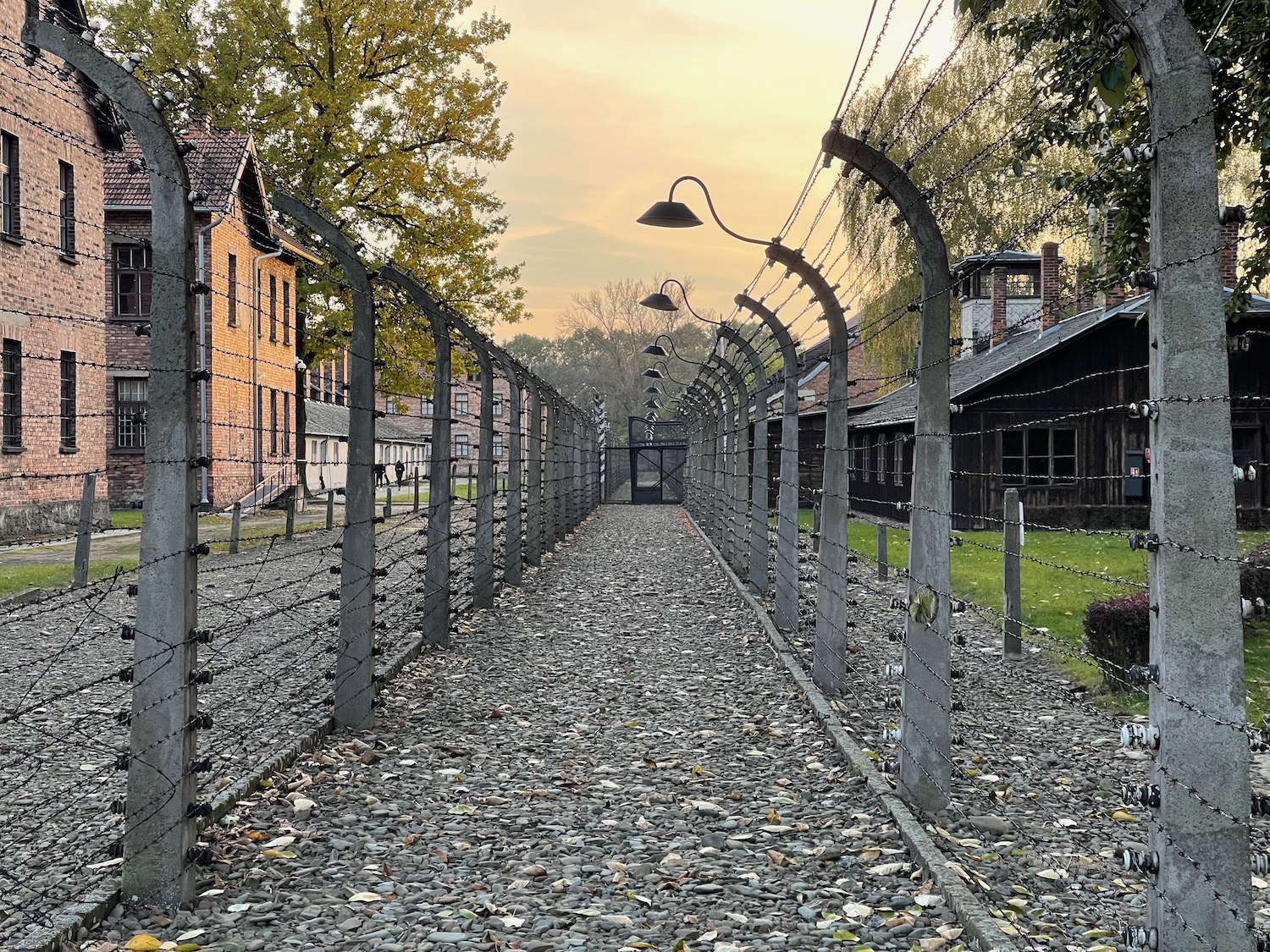 a stone path with barbed wire