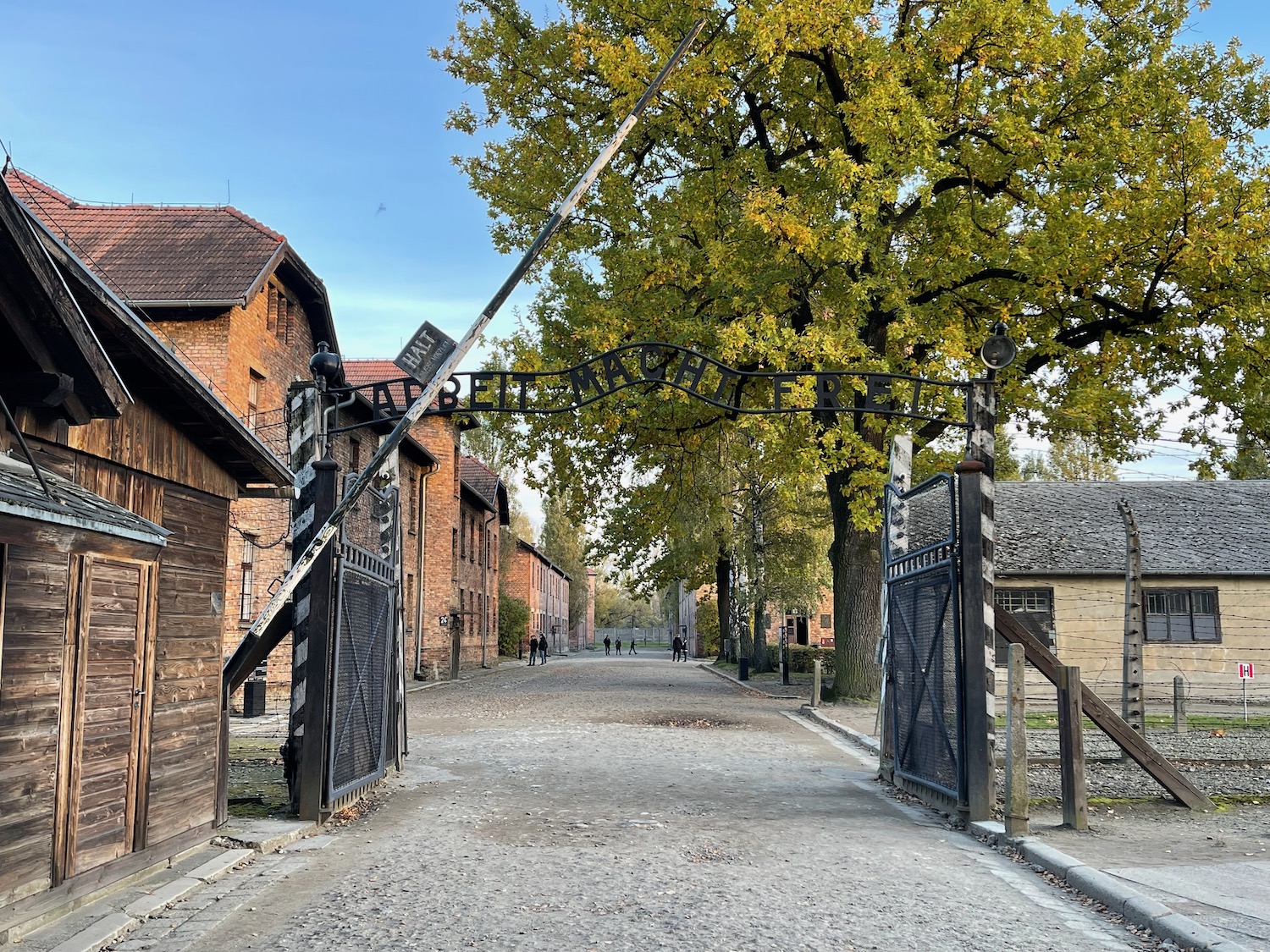 a gated entryway with trees and buildings