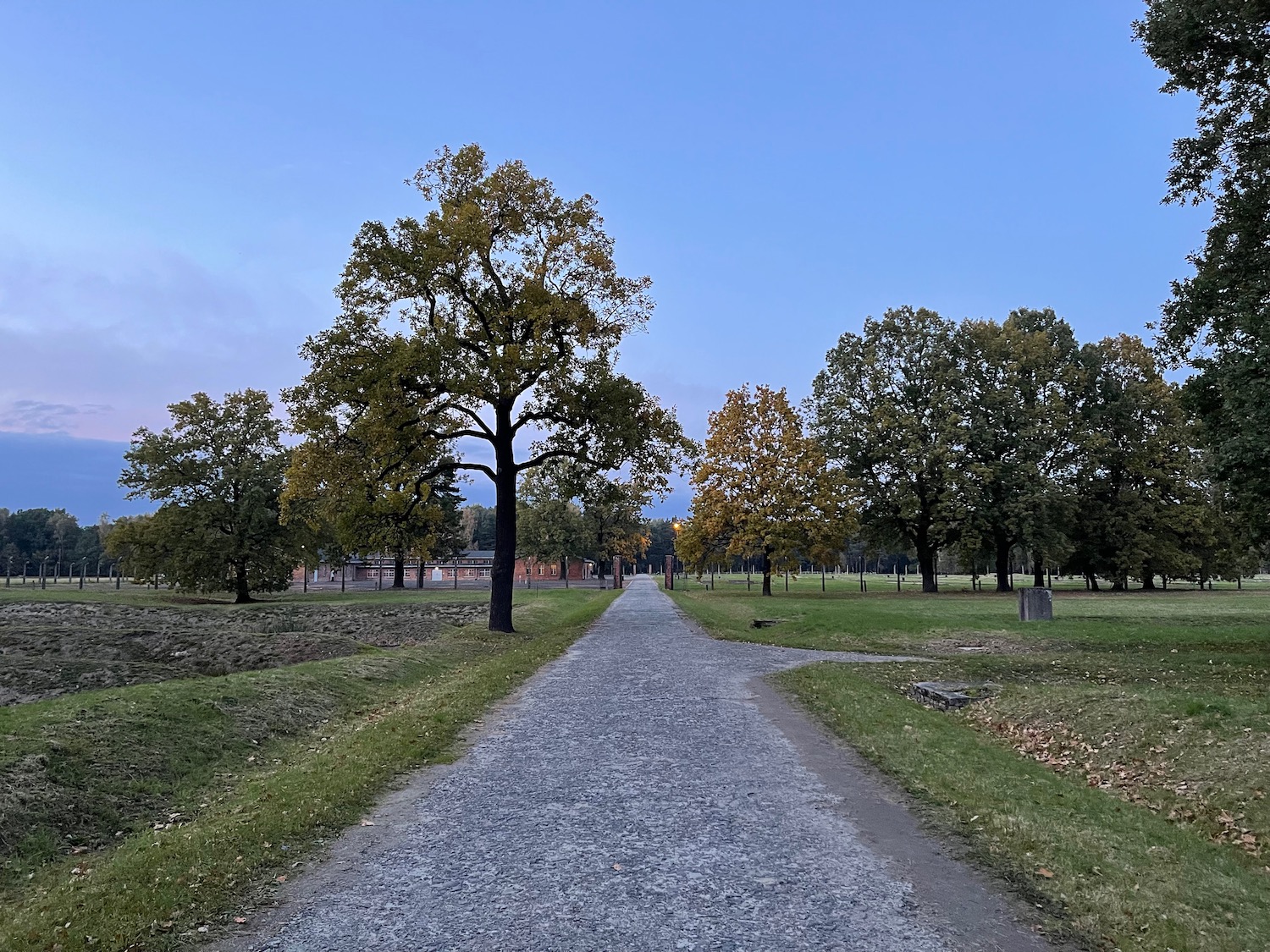 a gravel road with trees in the background