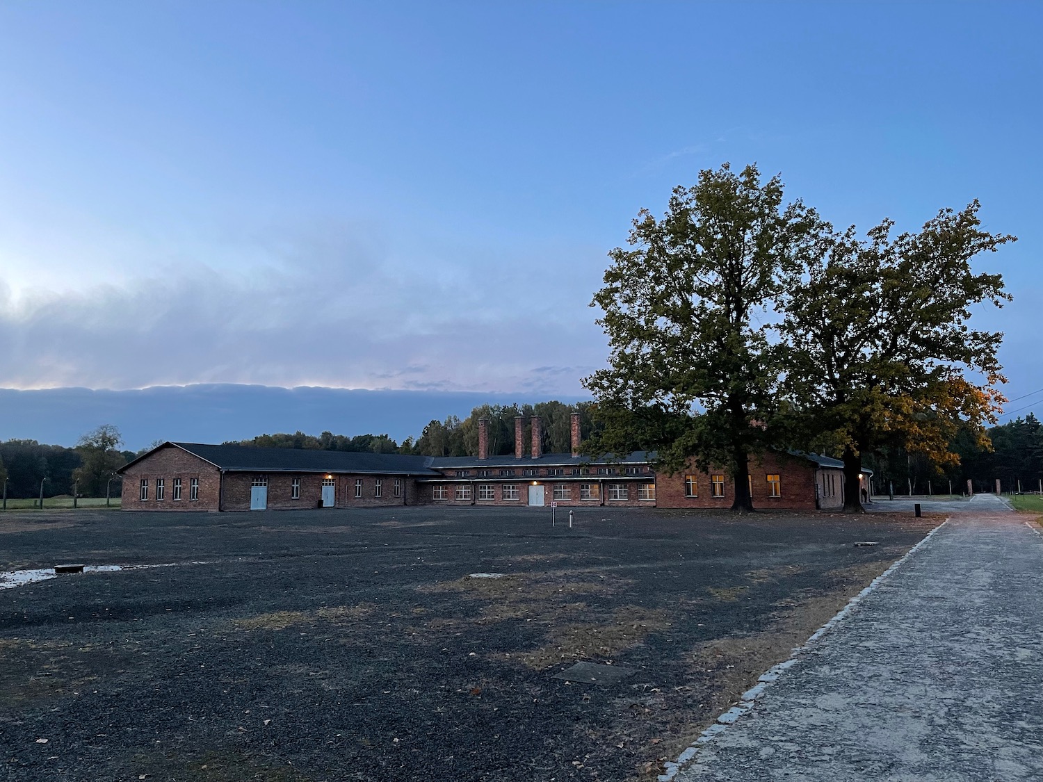 a building with a tree in the background