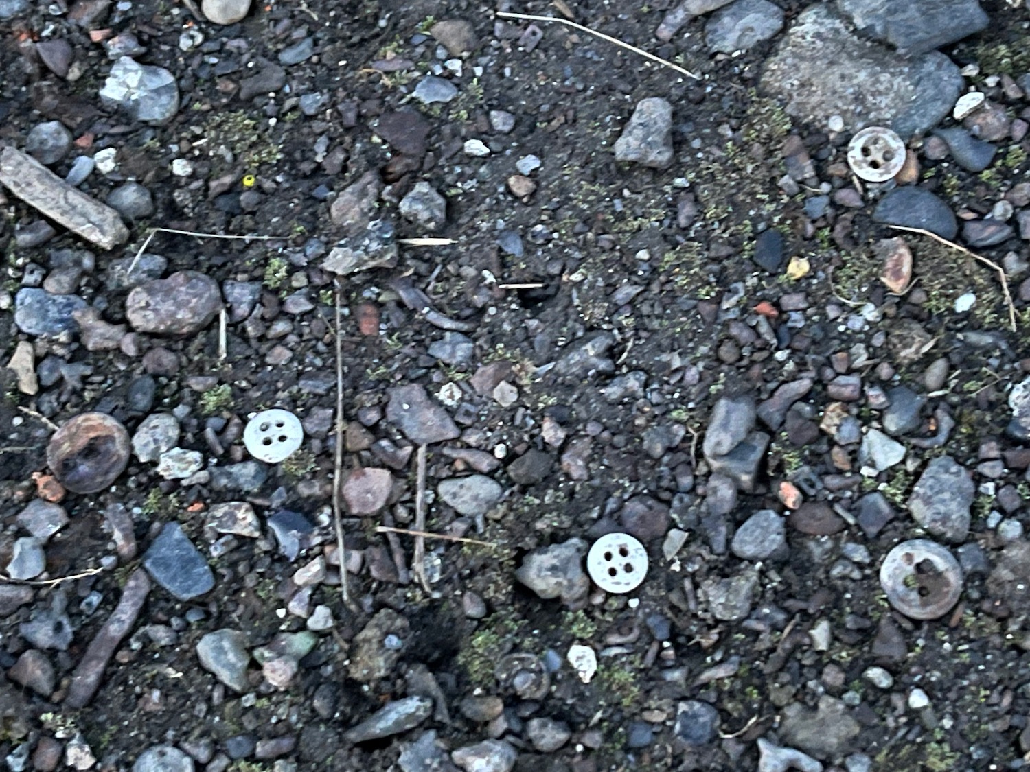 a group of rocks and small objects