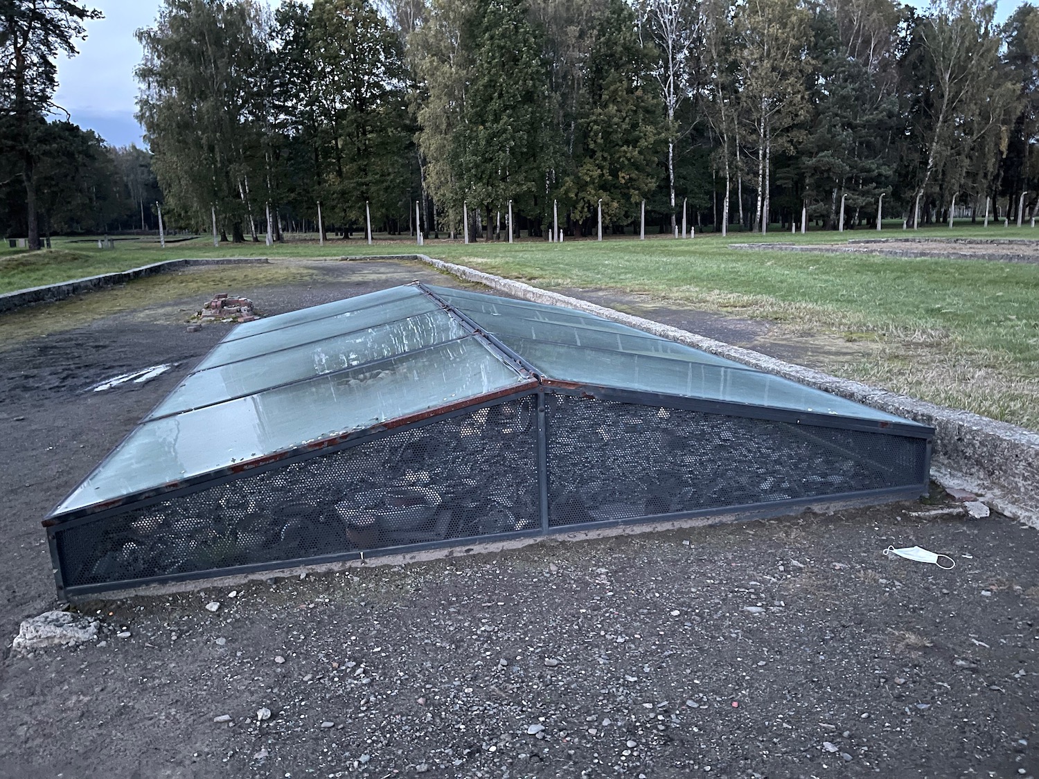 a glass roof in a park