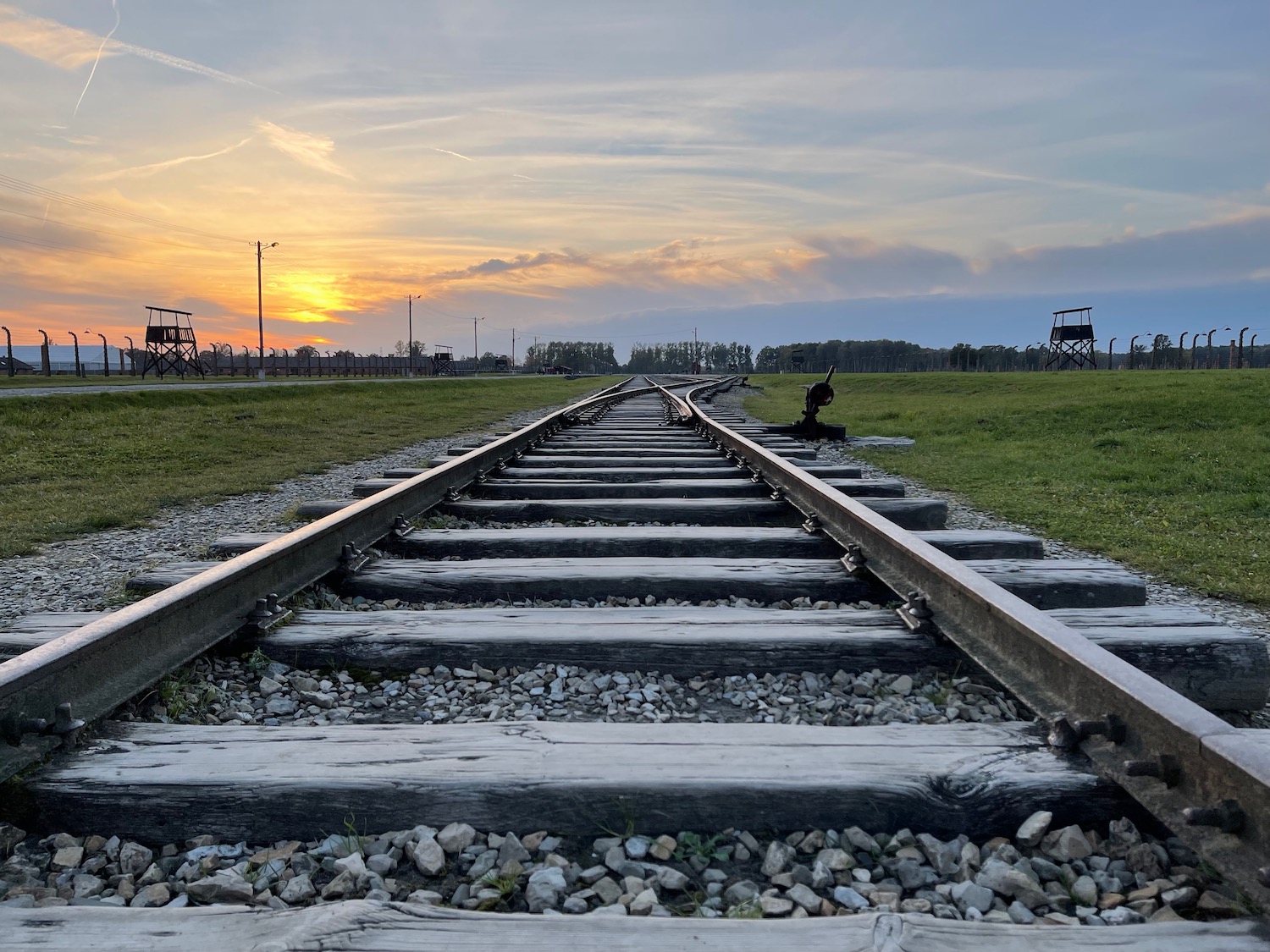 a train tracks in a grassy area