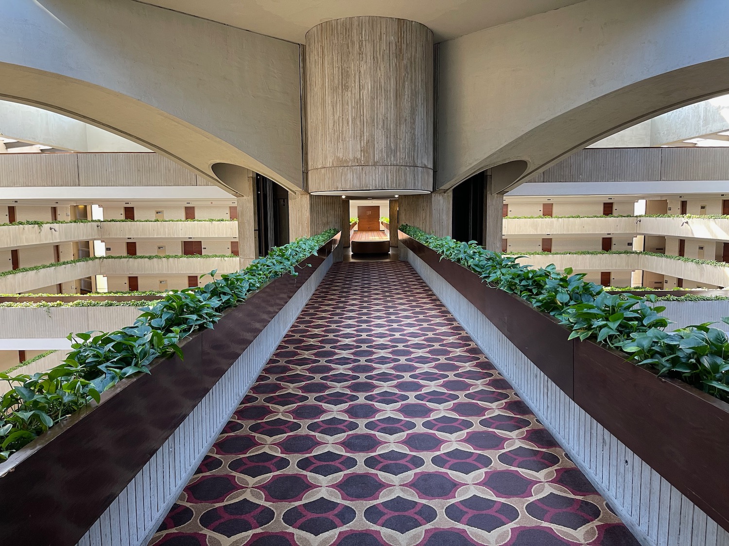 a hallway with plants on the side