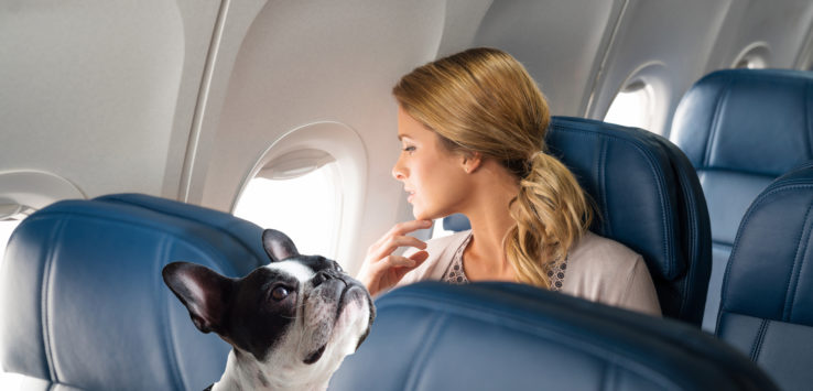 a woman looking at a dog