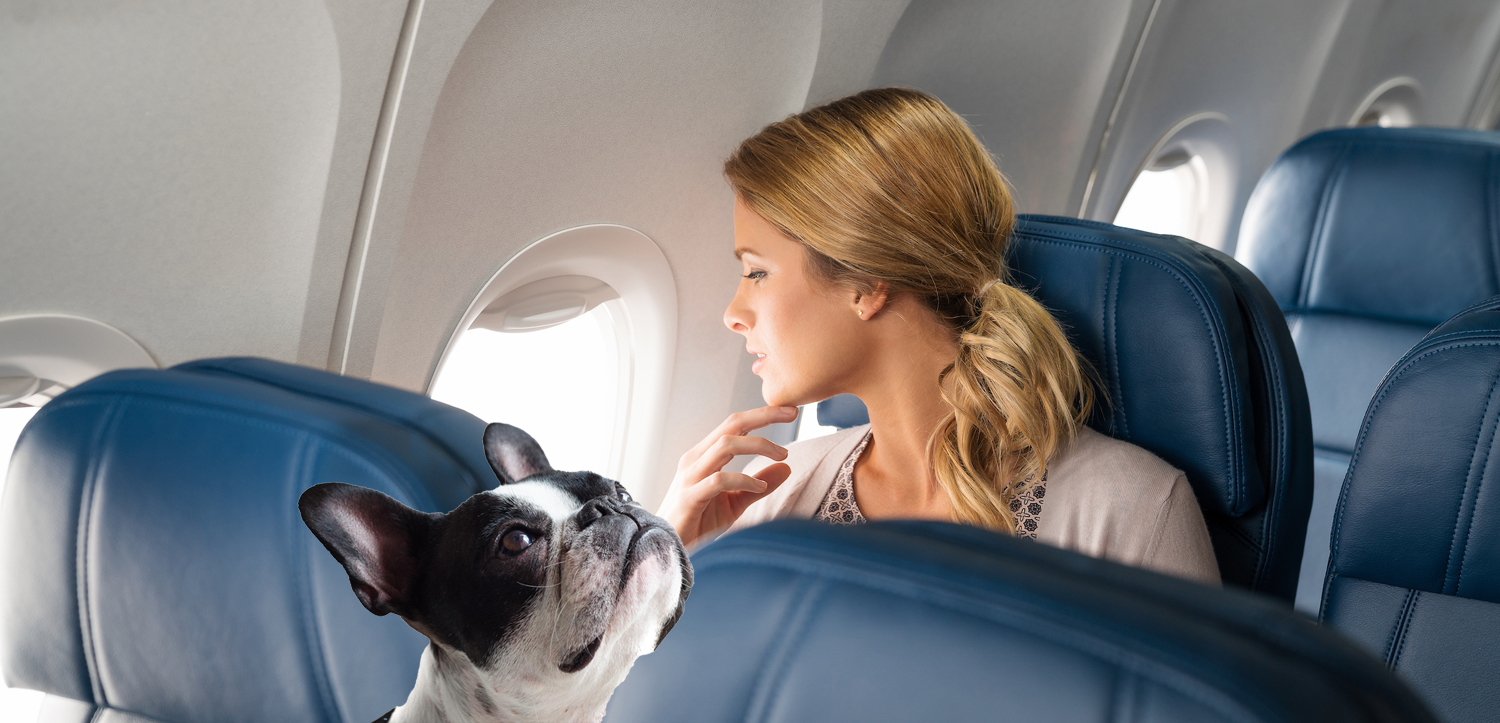 Delta flight attendant comforts woman on flight to JFK