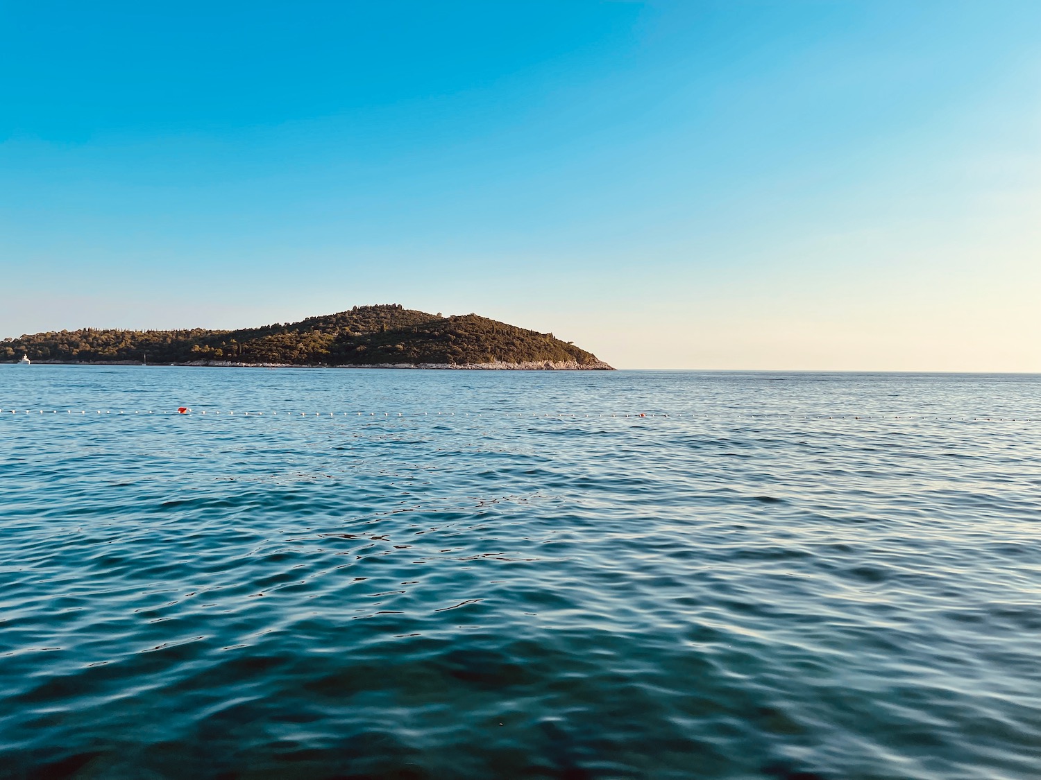 a body of water with a hill in the background