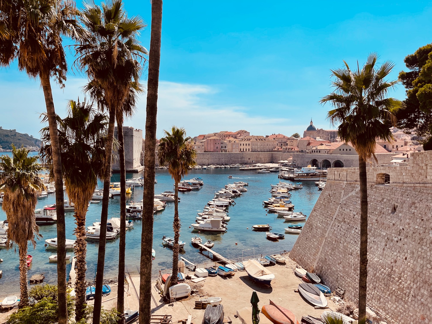 a body of water with boats and palm trees